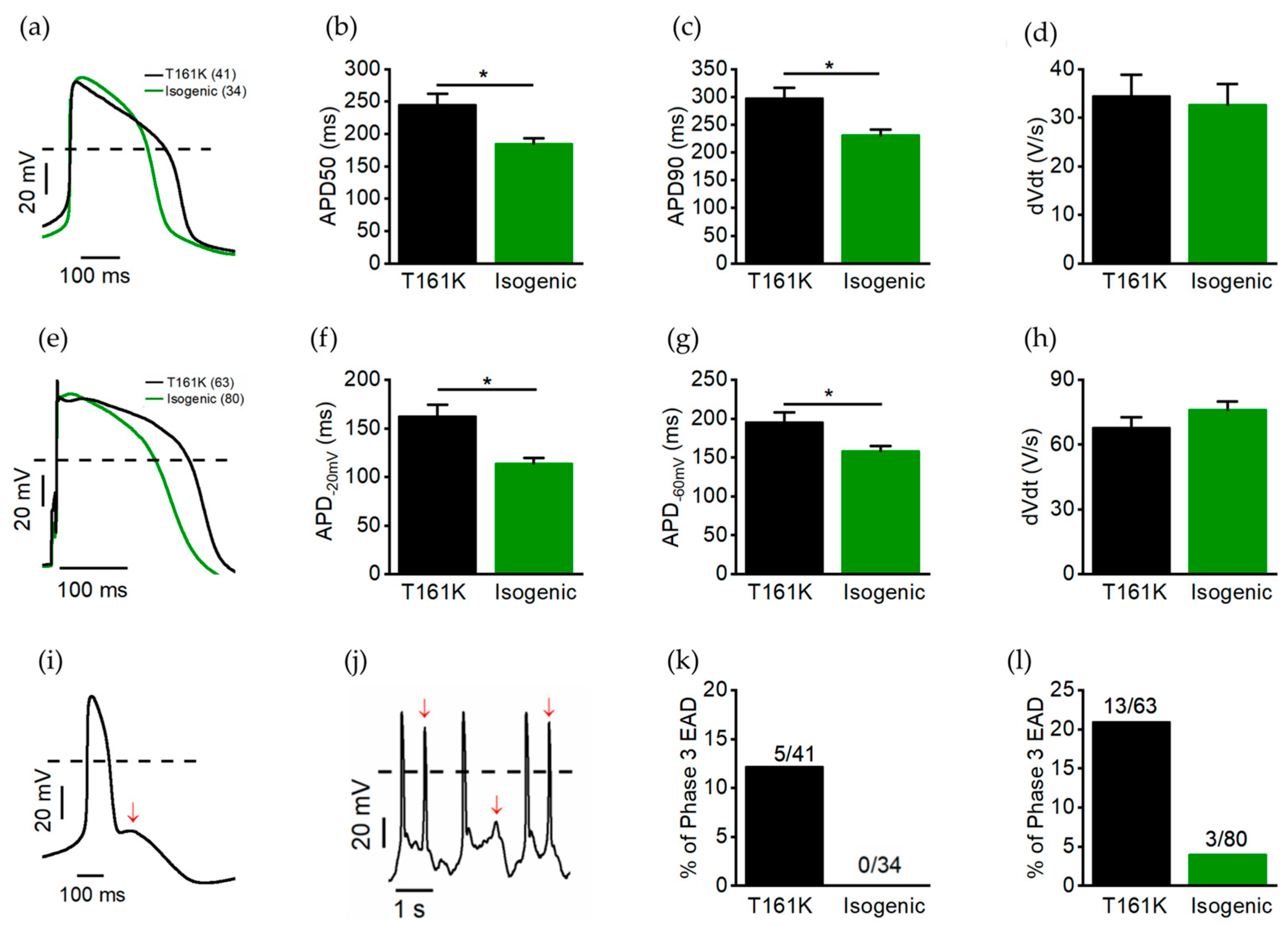 Biomedicines 11 01558 g005 Biomedicines 11 01558 g005