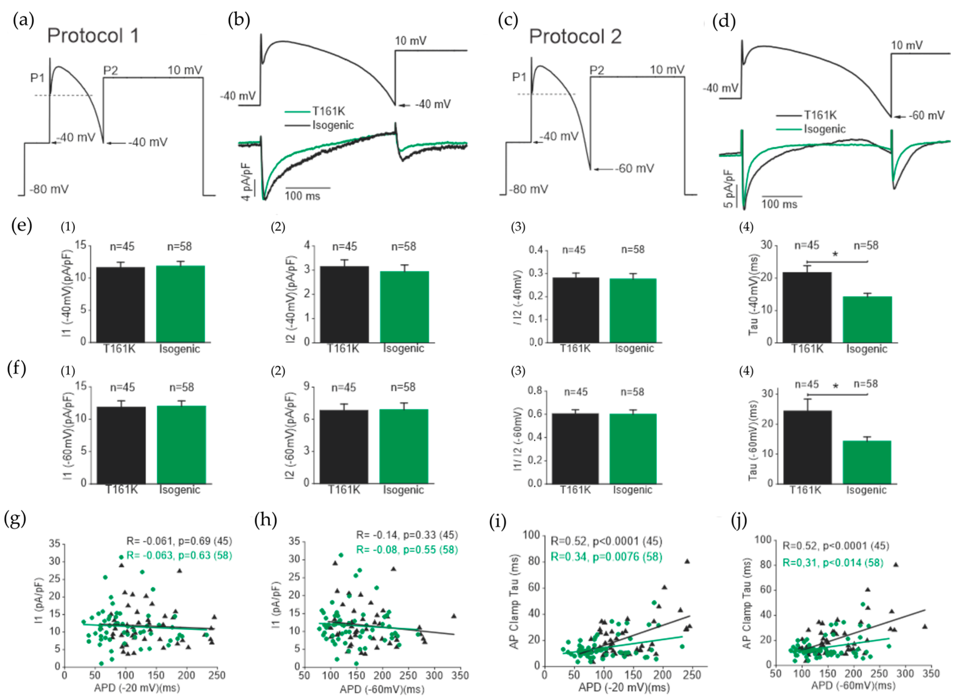 Biomedicines 11 01558 g007 Biomedicines 11 01558 g007