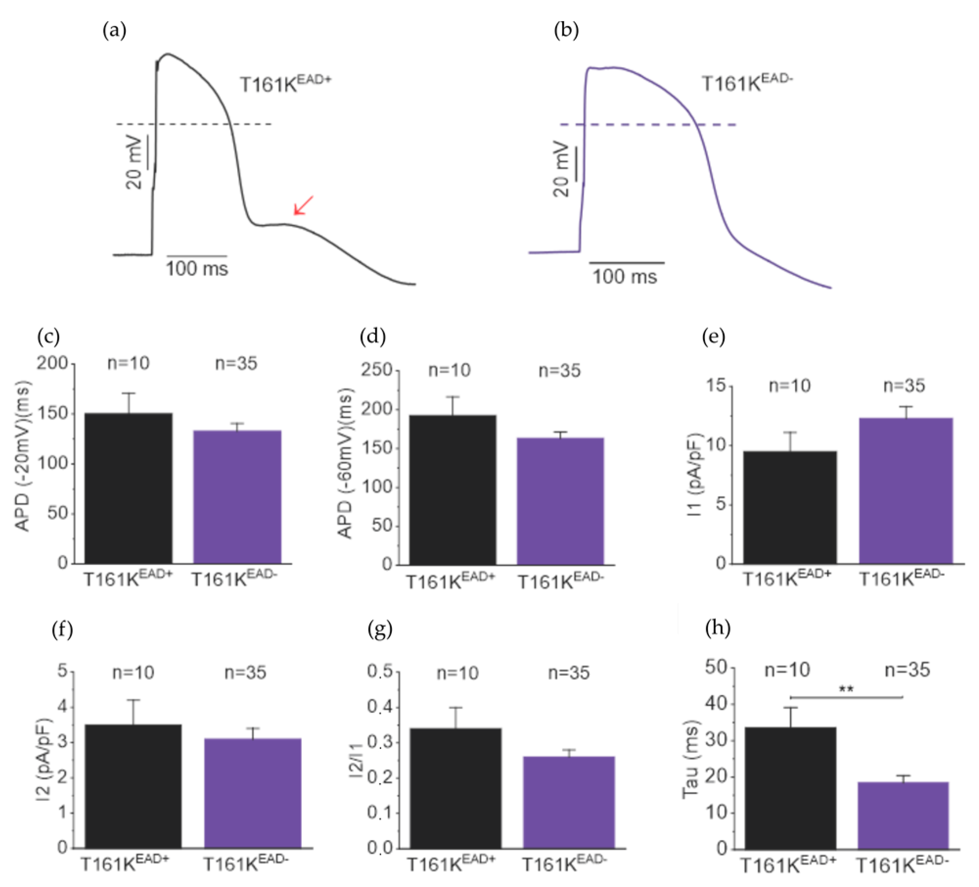 Biomedicines 11 01558 g008 Biomedicines 11 01558 g008