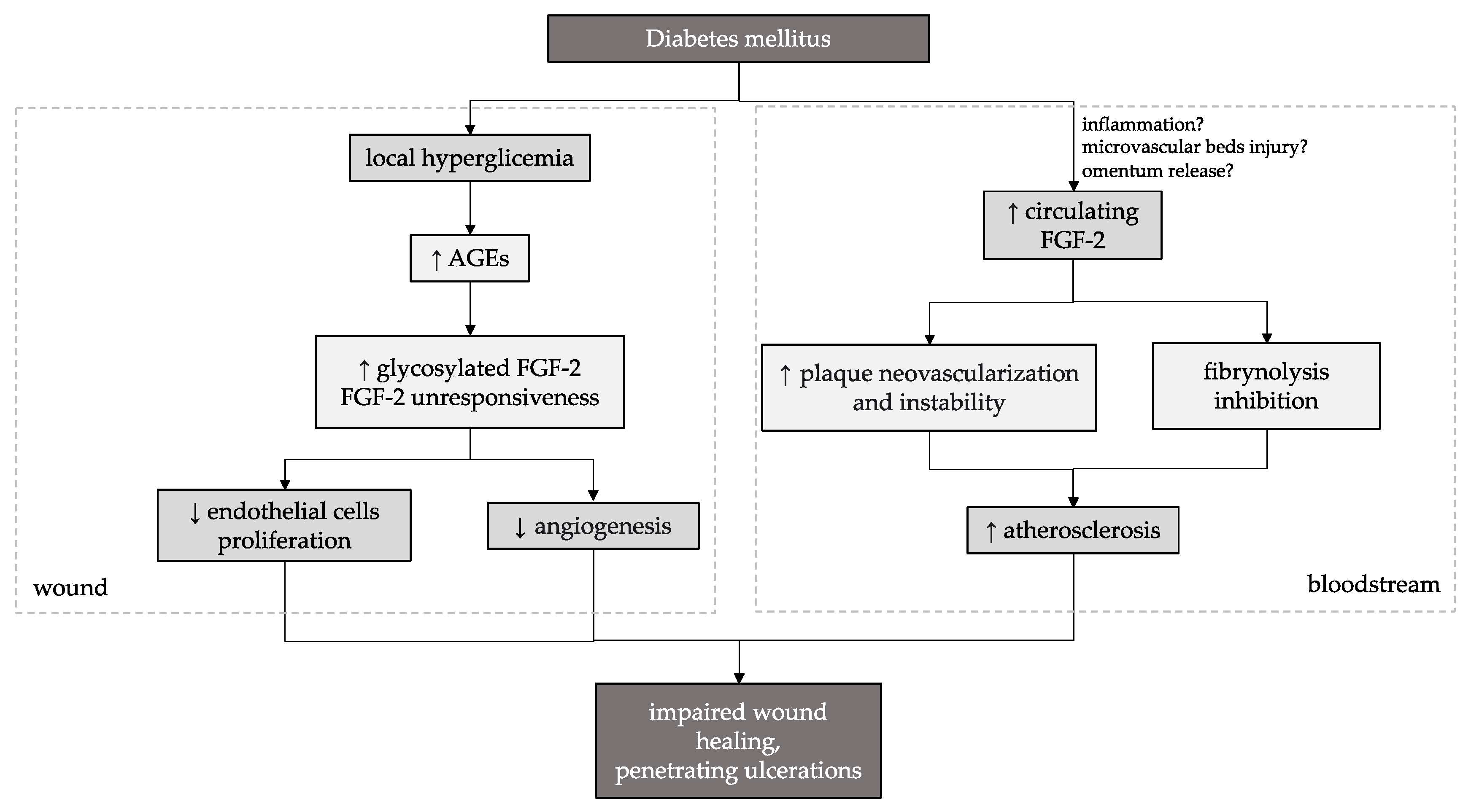 Biomedicines 11 01559 g016