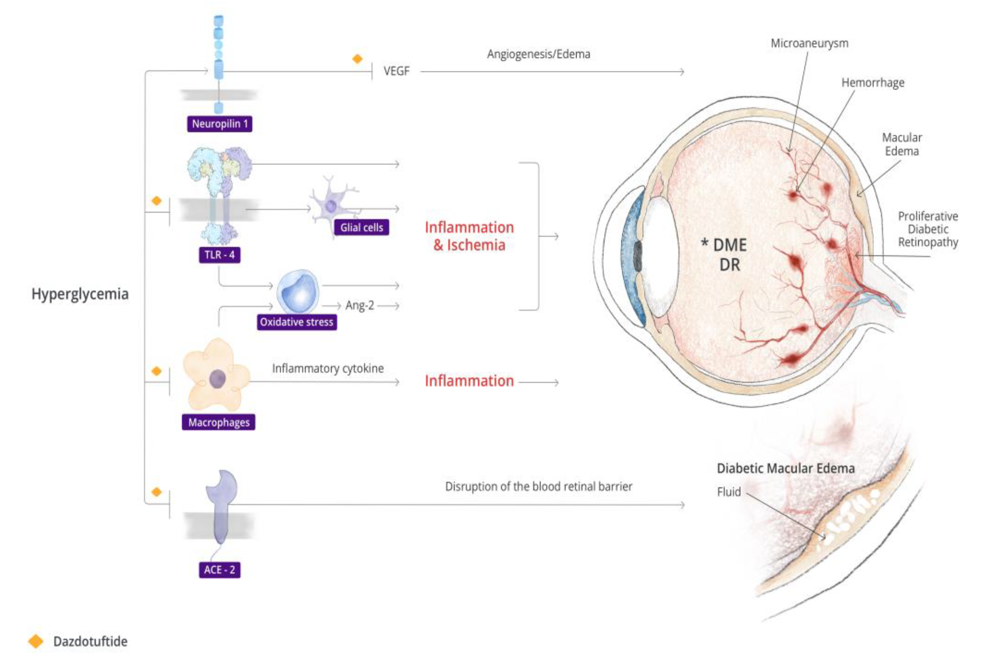 Biomedicines 11 01562 g001