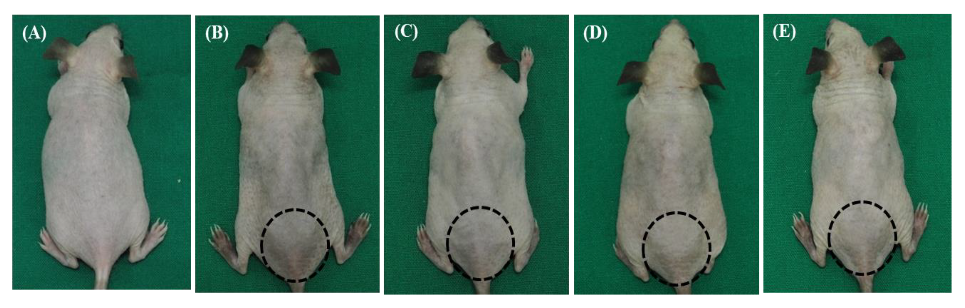 Biomedicines 11 01563 g002