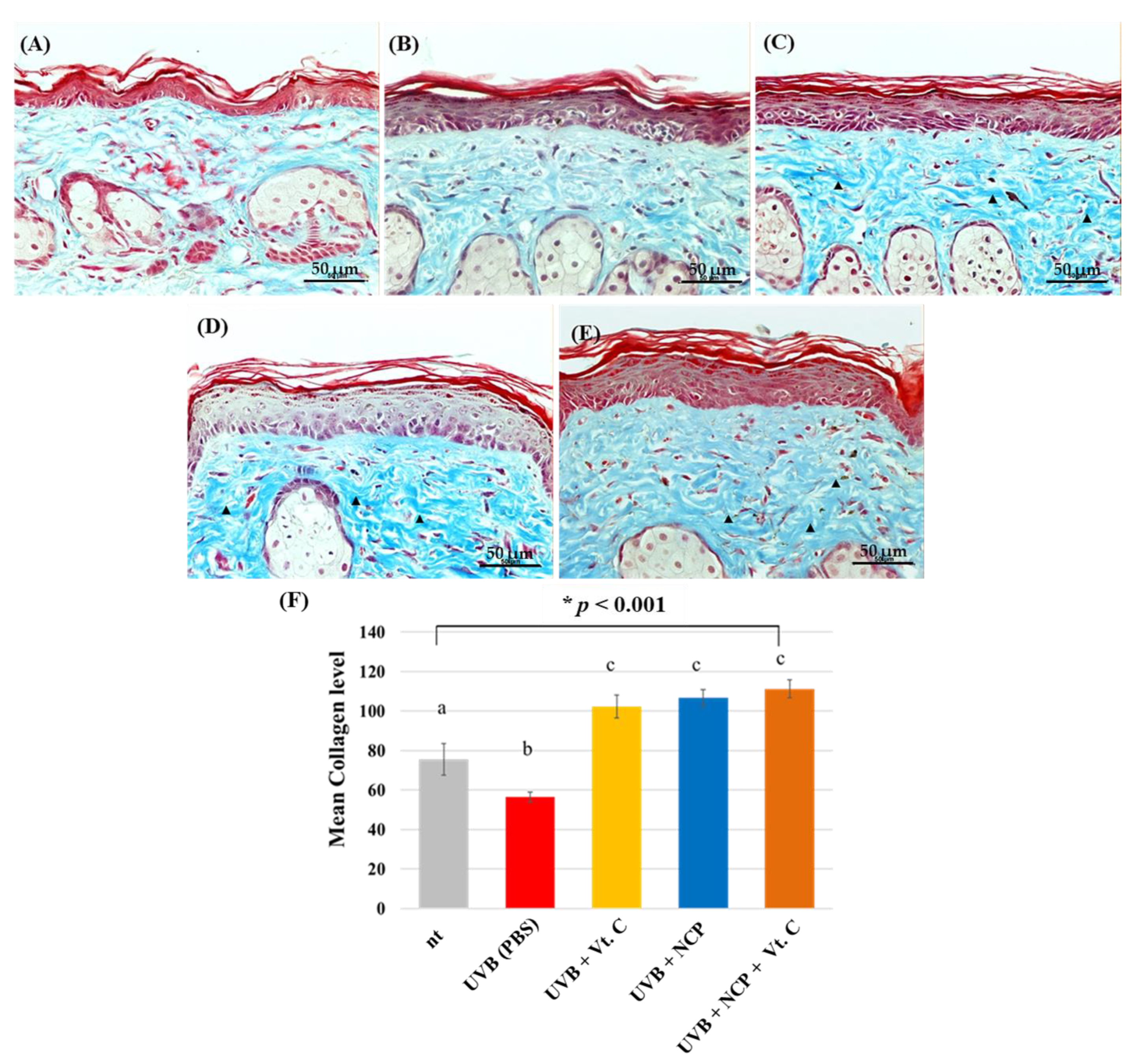 Biomedicines 11 01563 g005