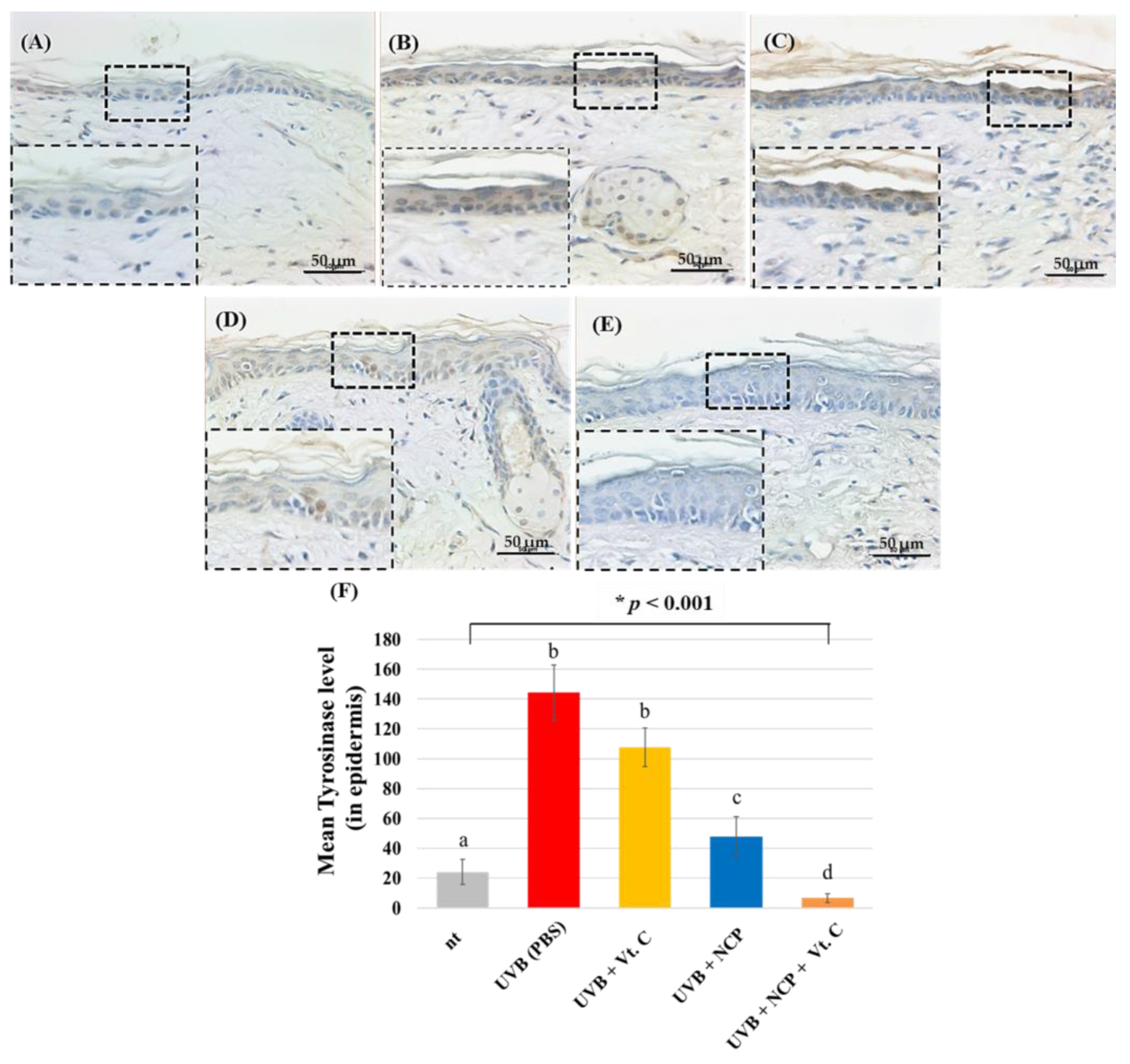 Biomedicines 11 01563 g006