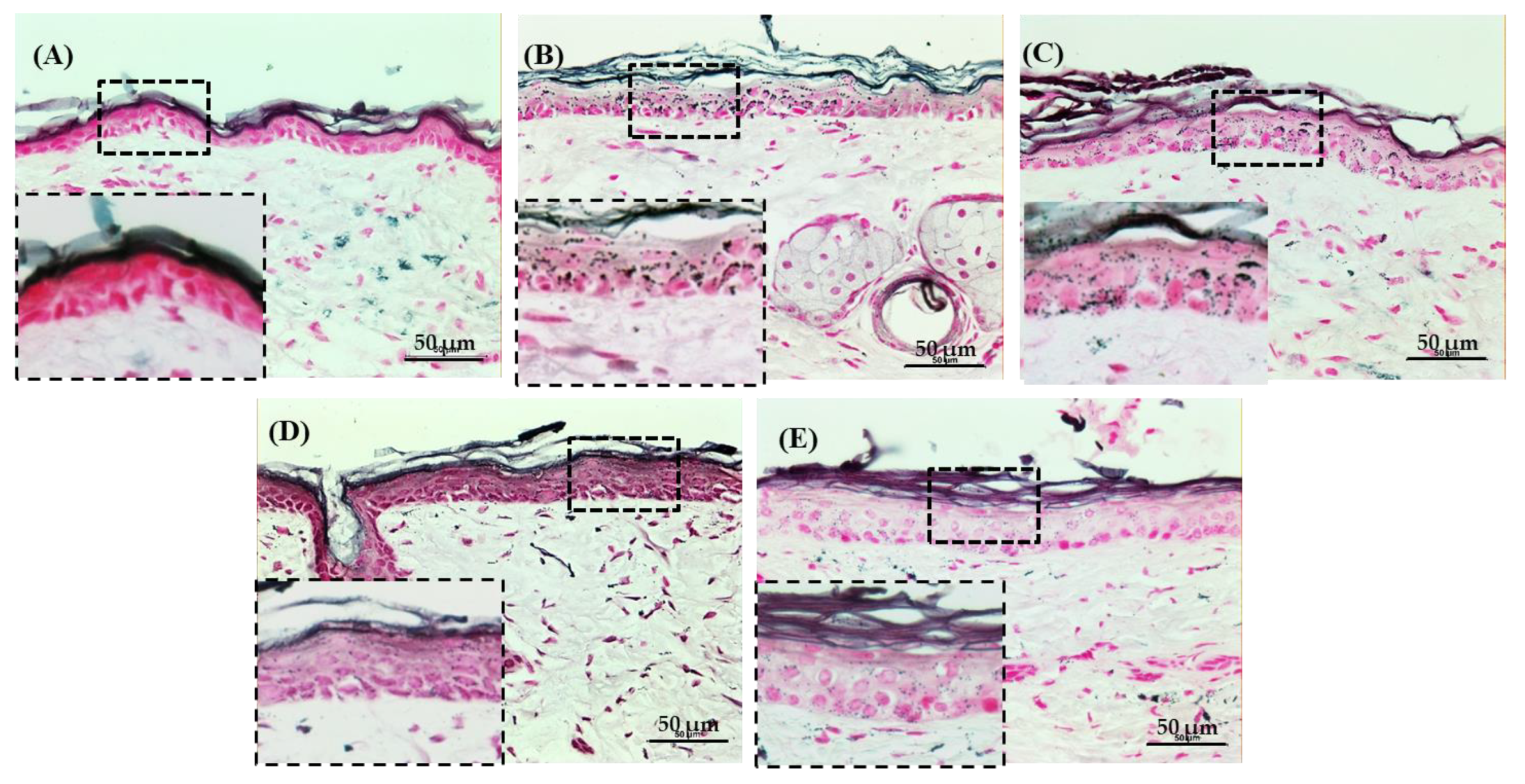 Biomedicines 11 01563 g007