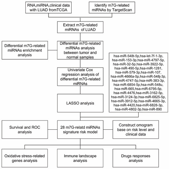 Gasoline
英語版 Identification of m7G-Related miRNA Signatures Associated