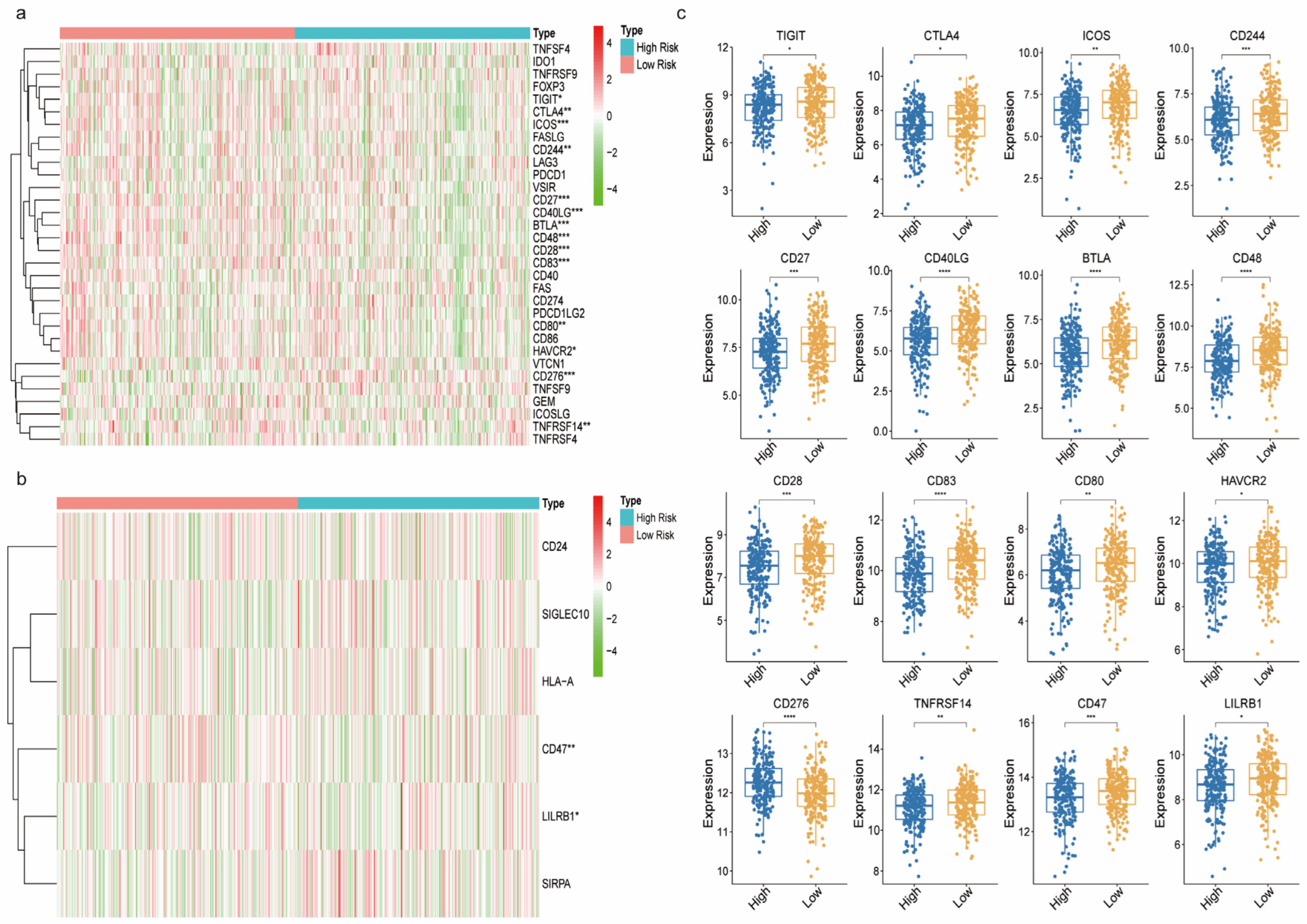 Biomedicines 11 01569 g007 Biomedicines 11 01569 g007