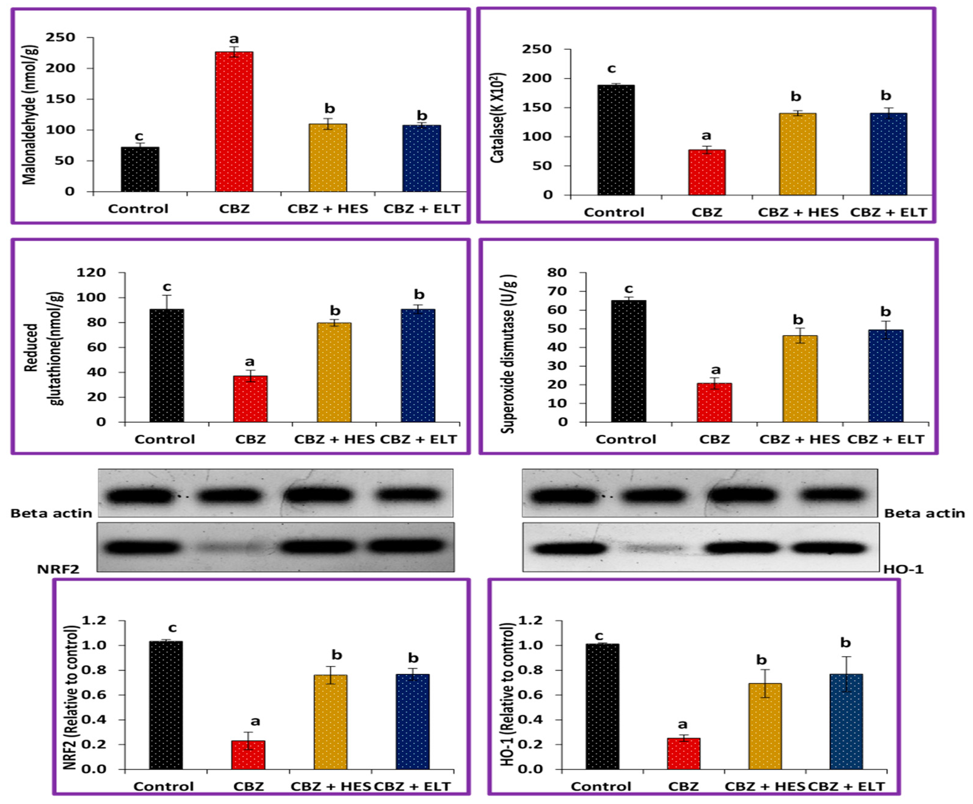 Biomedicines 11 01570 g001 Biomedicines 11 01570 g001