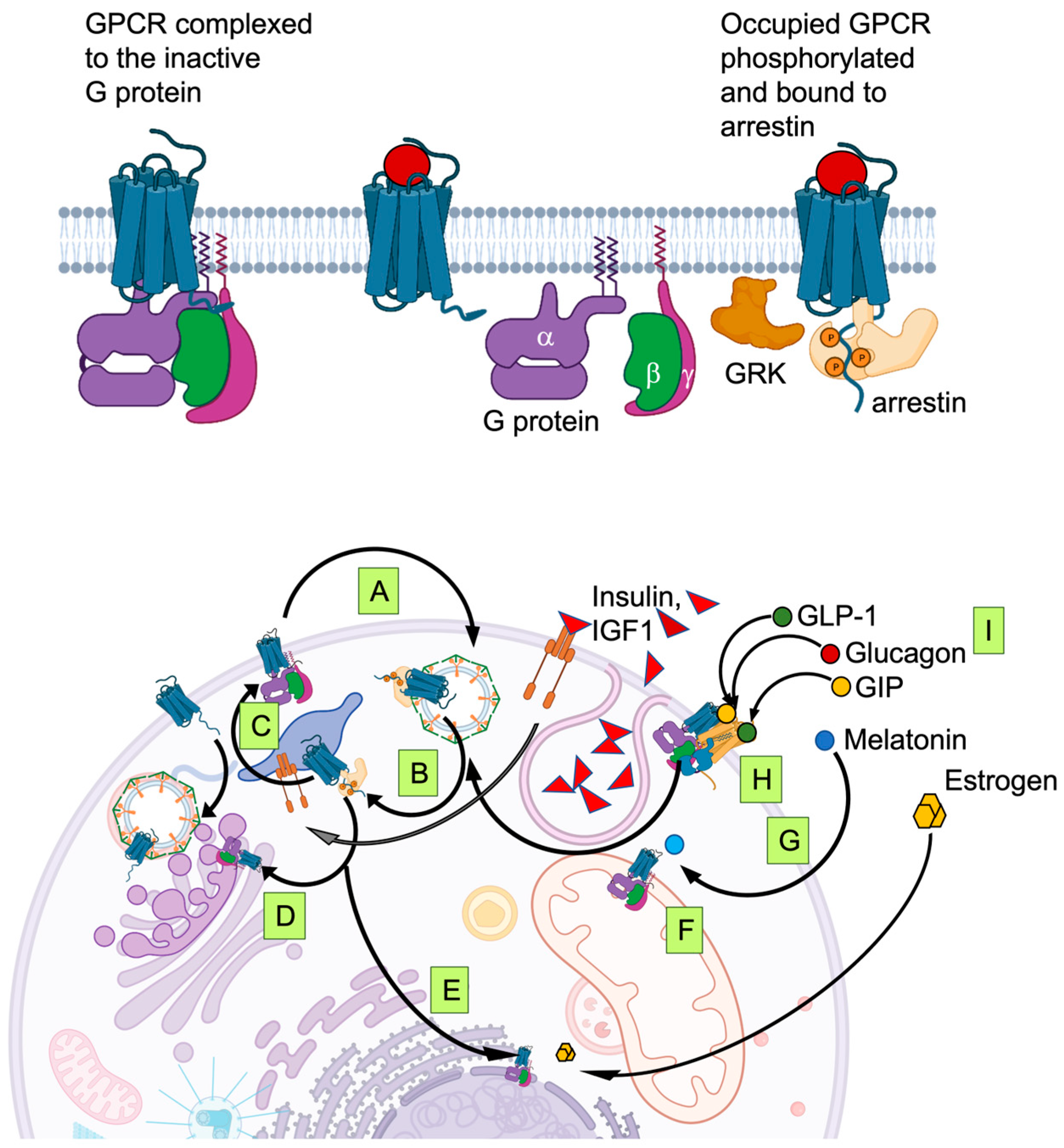 Biomedicines 11 01576 g002