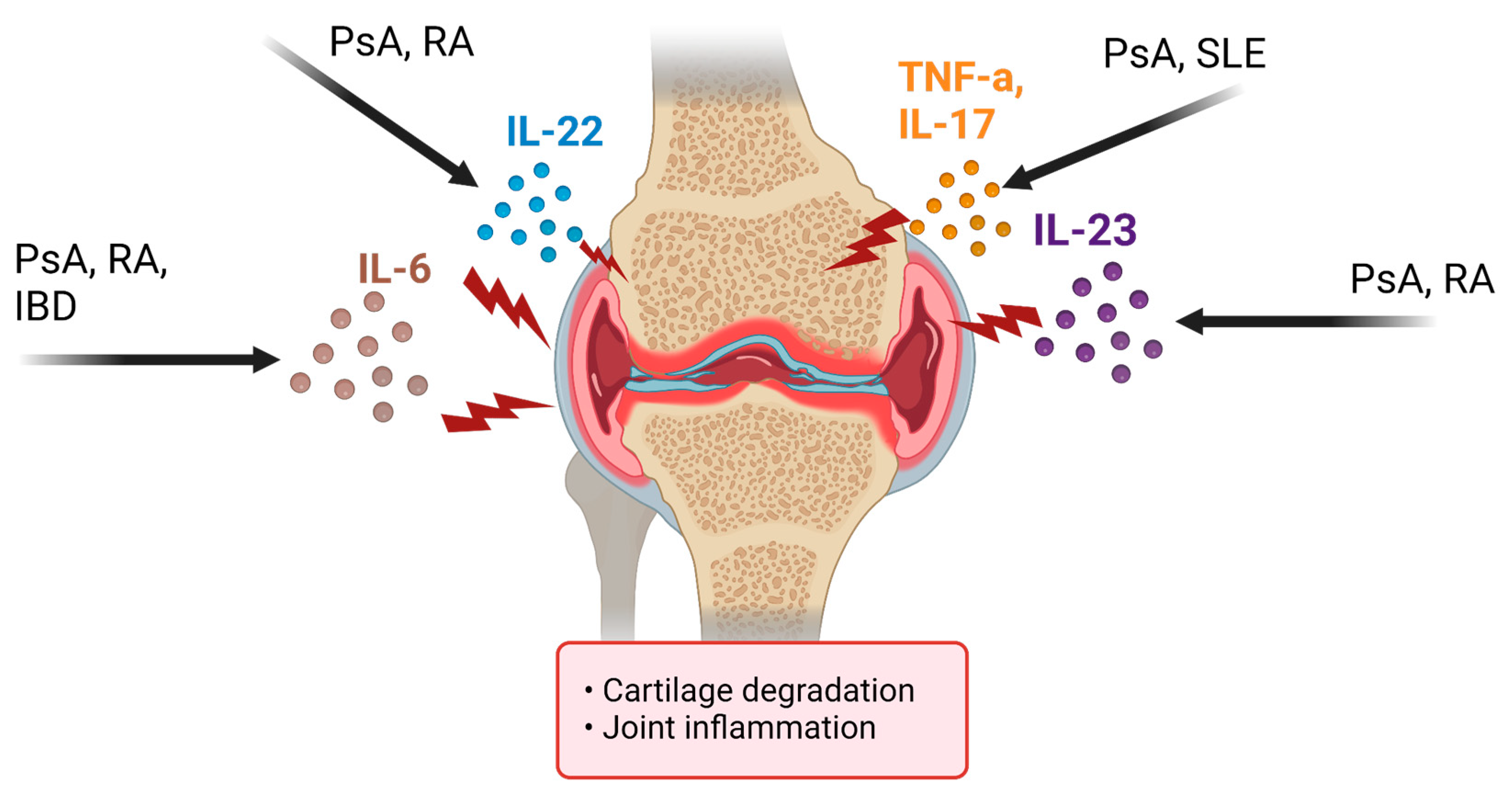 Biomedicines 11 01582 g002
