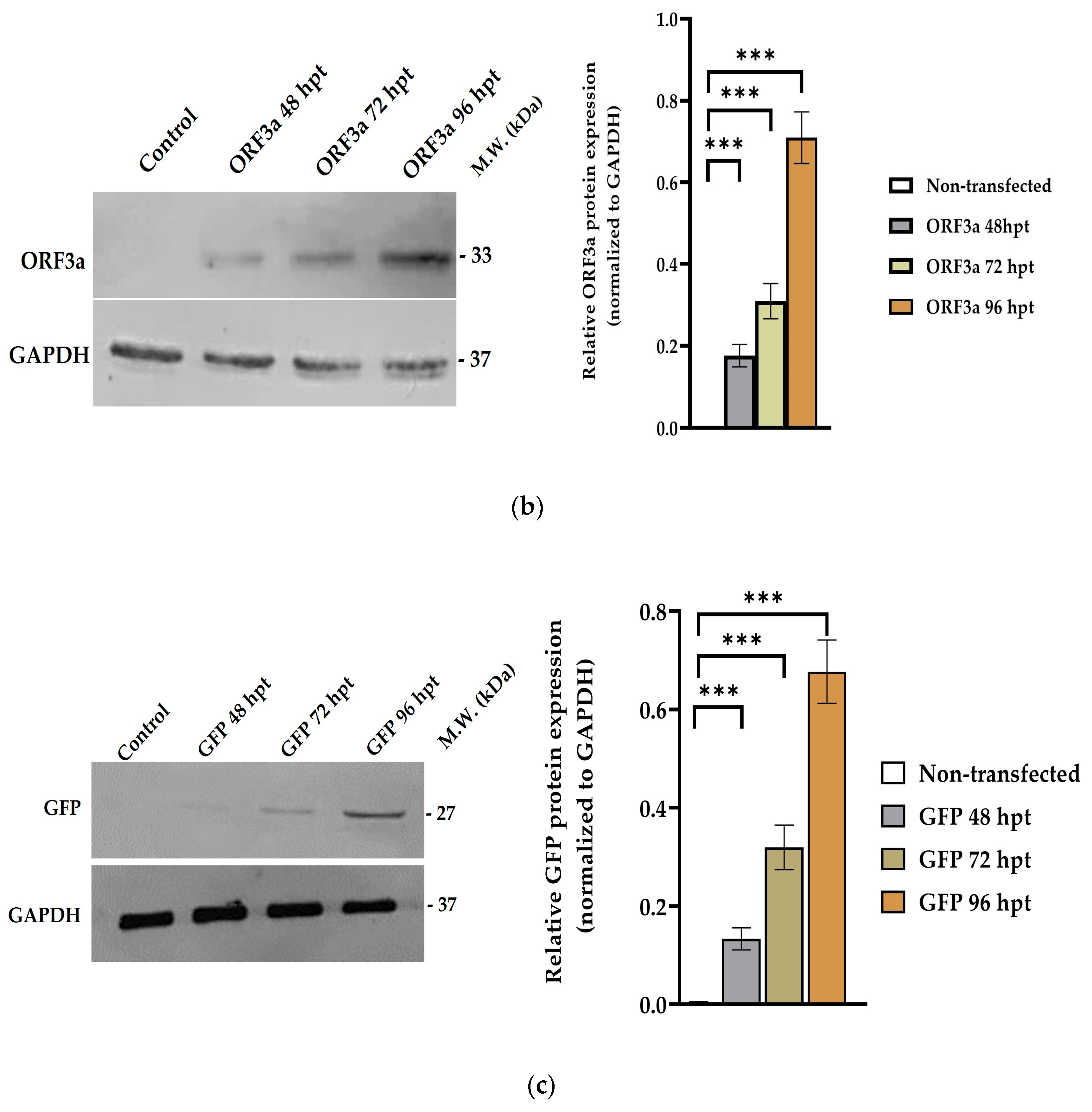 Biomedicines 11 01585 g001b