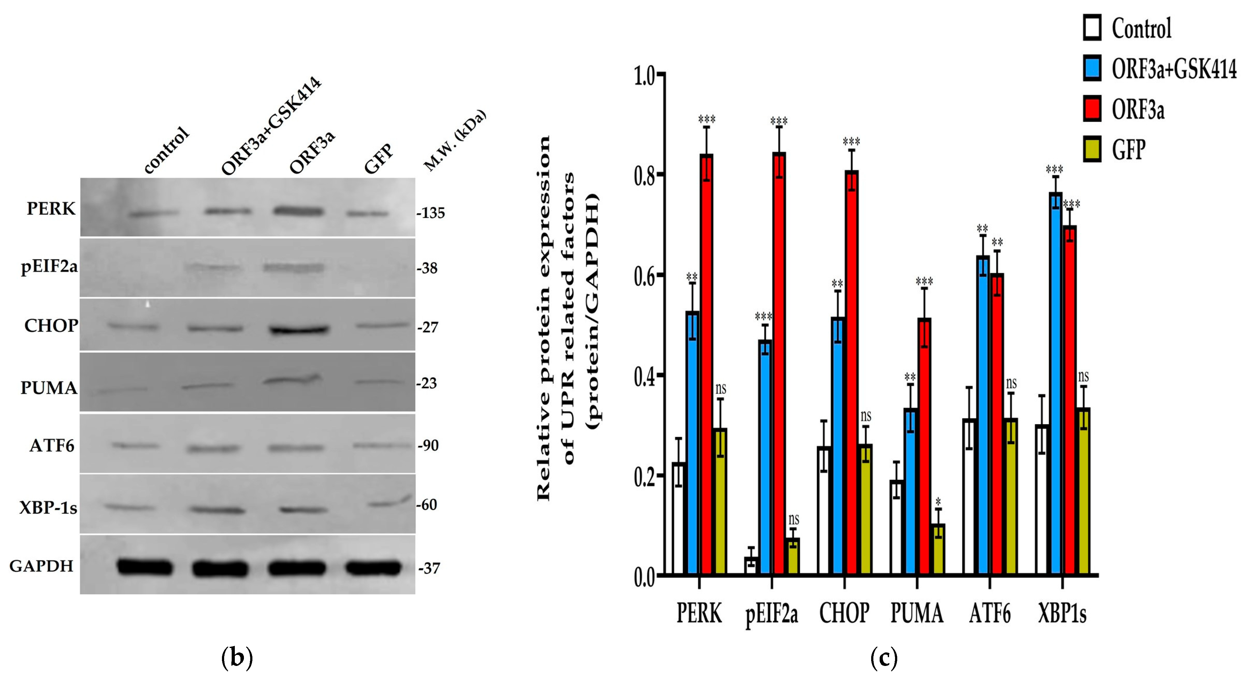 Biomedicines 11 01585 g002b