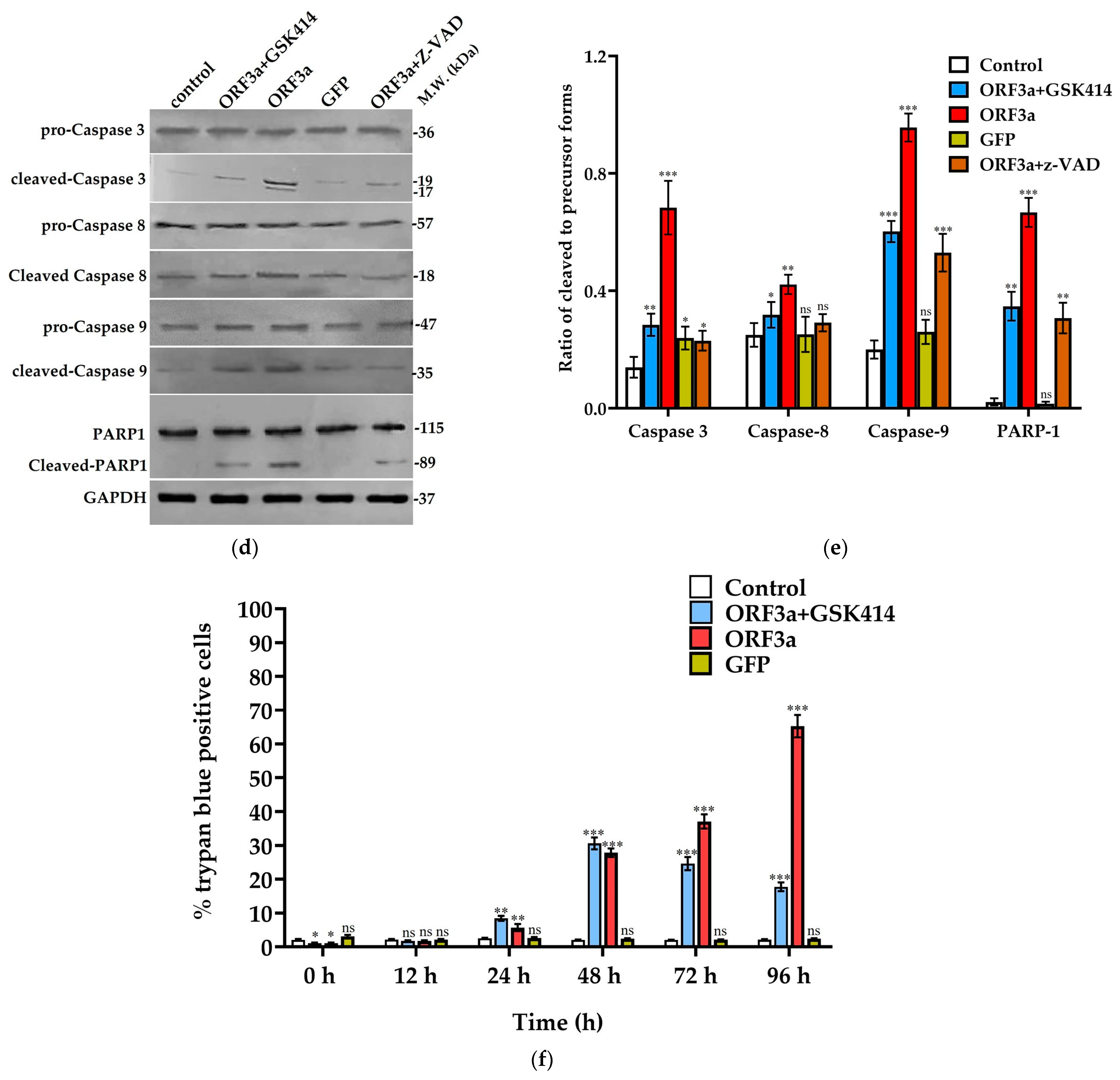 Biomedicines 11 01585 g003b