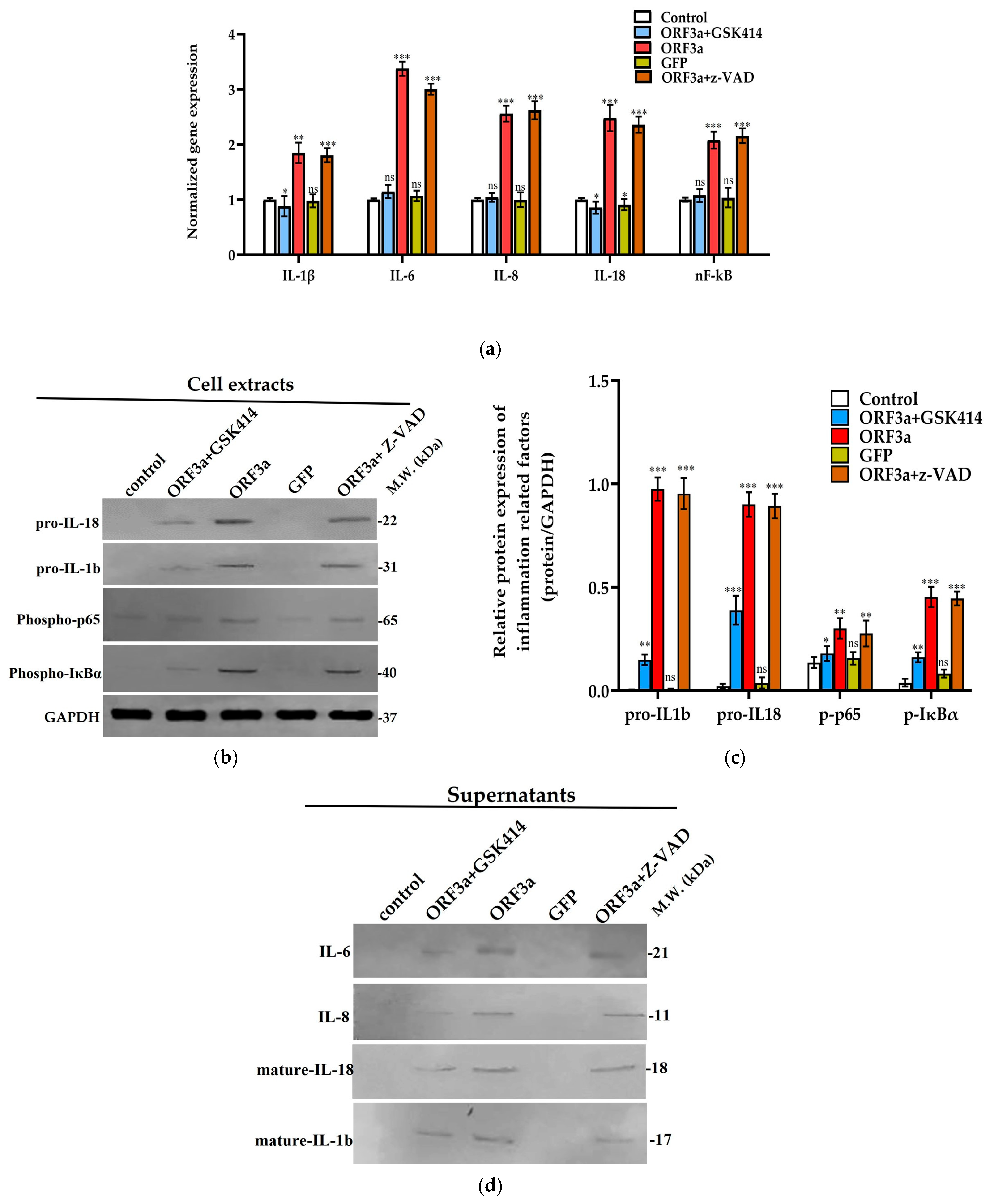 Biomedicines 11 01585 g005