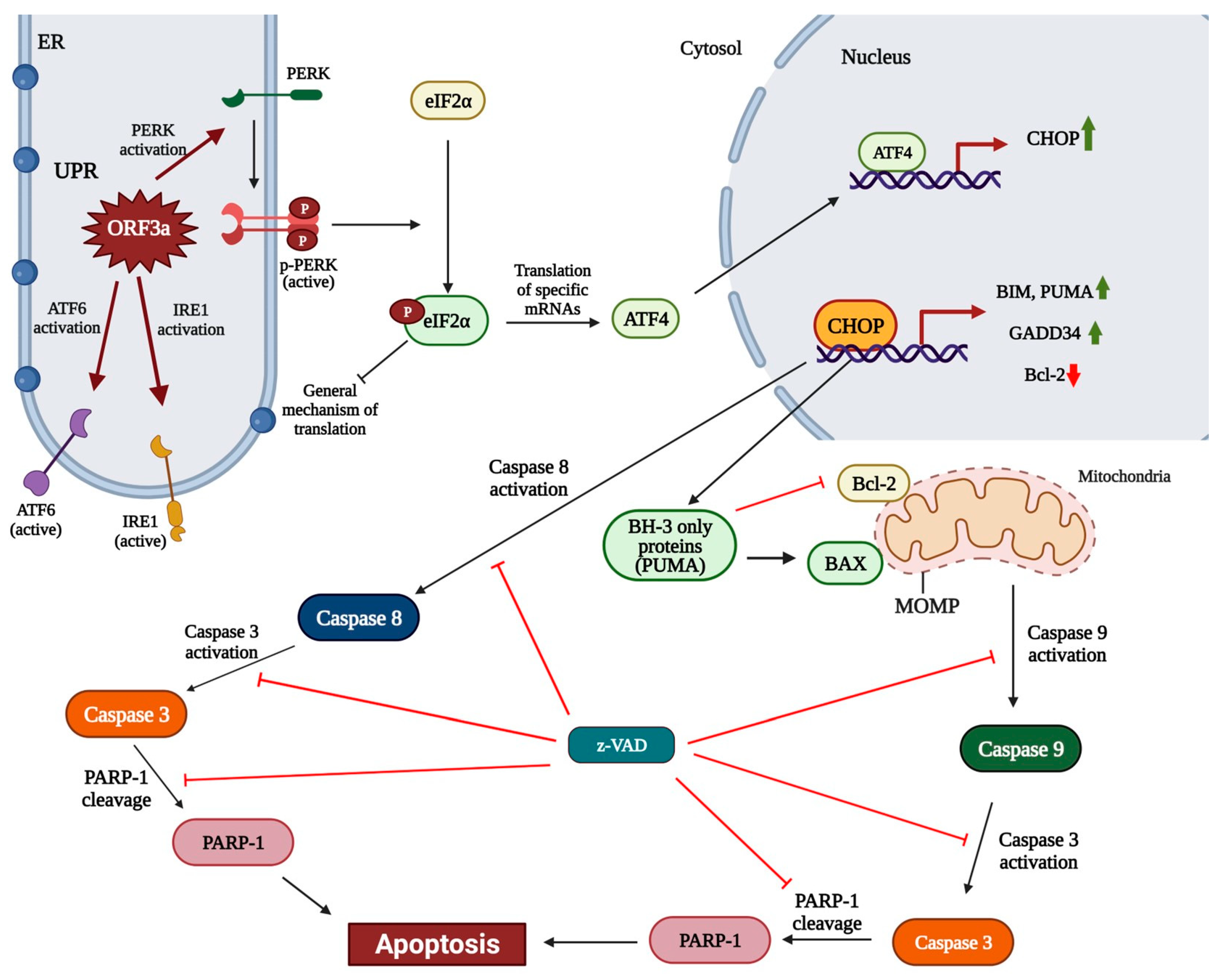 Biomedicines 11 01585 g006