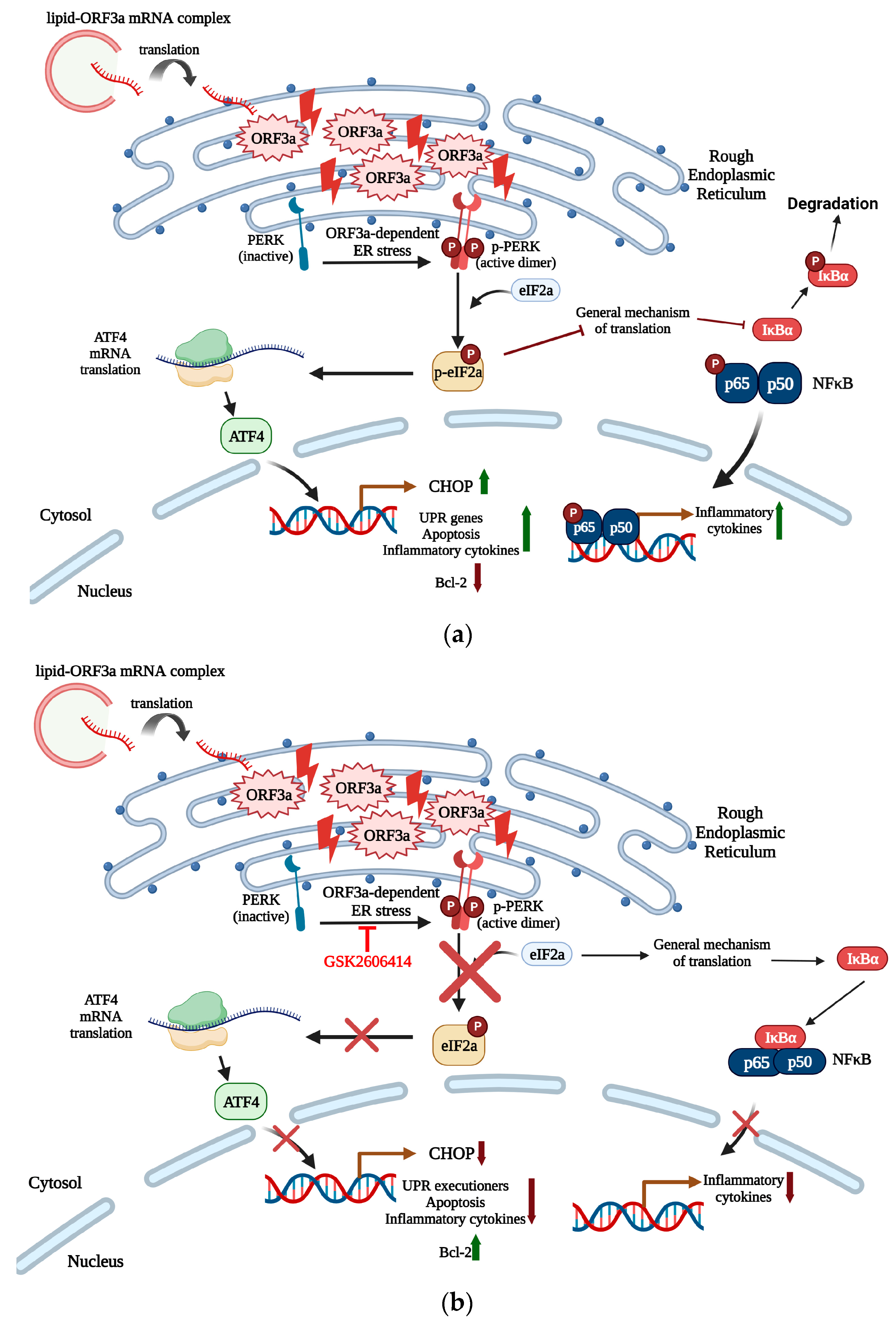 Biomedicines 11 01585 g007