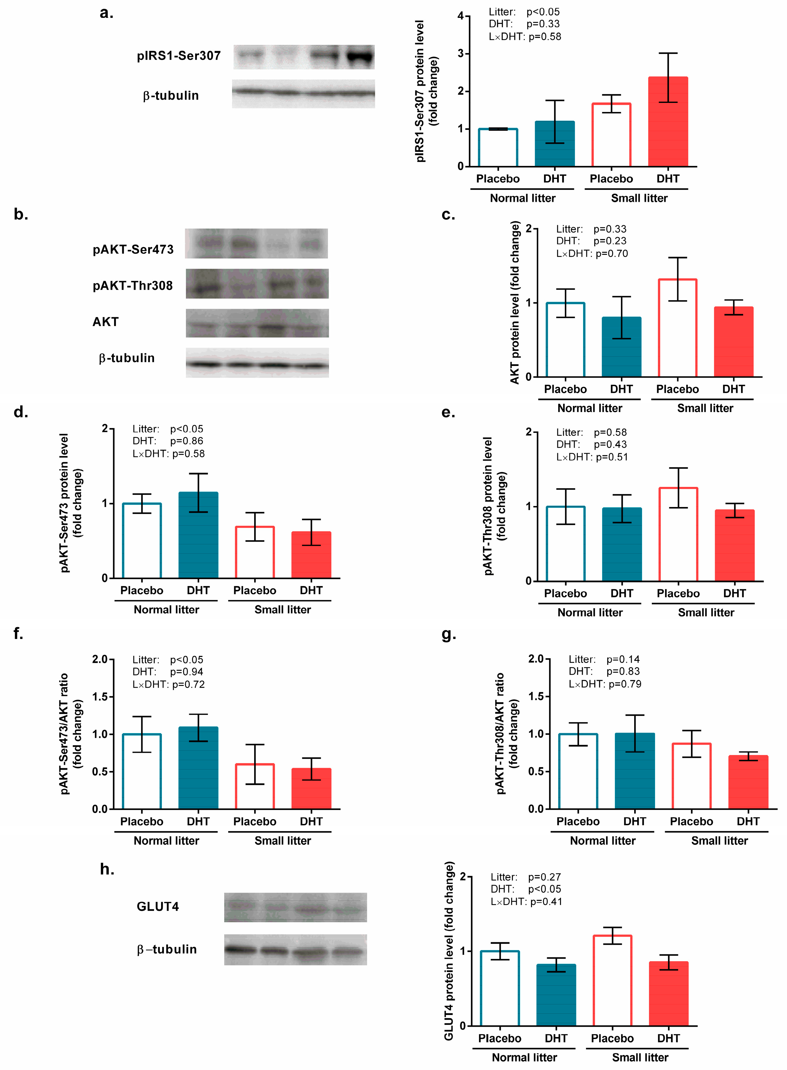 Biomedicines 11 01586 g002