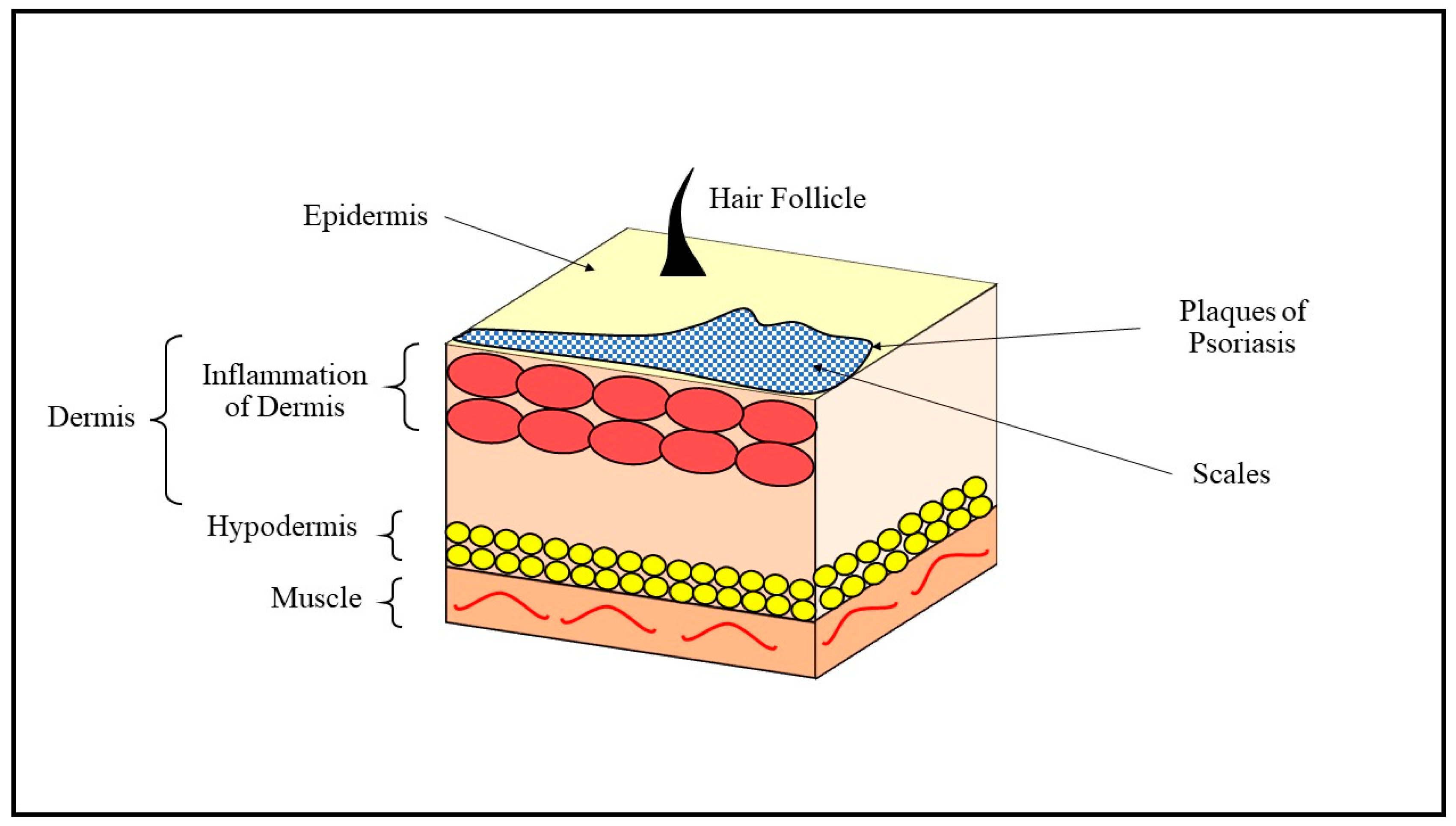 Biomedicines 11 01589 g001 Biomedicines 11 01589 g001