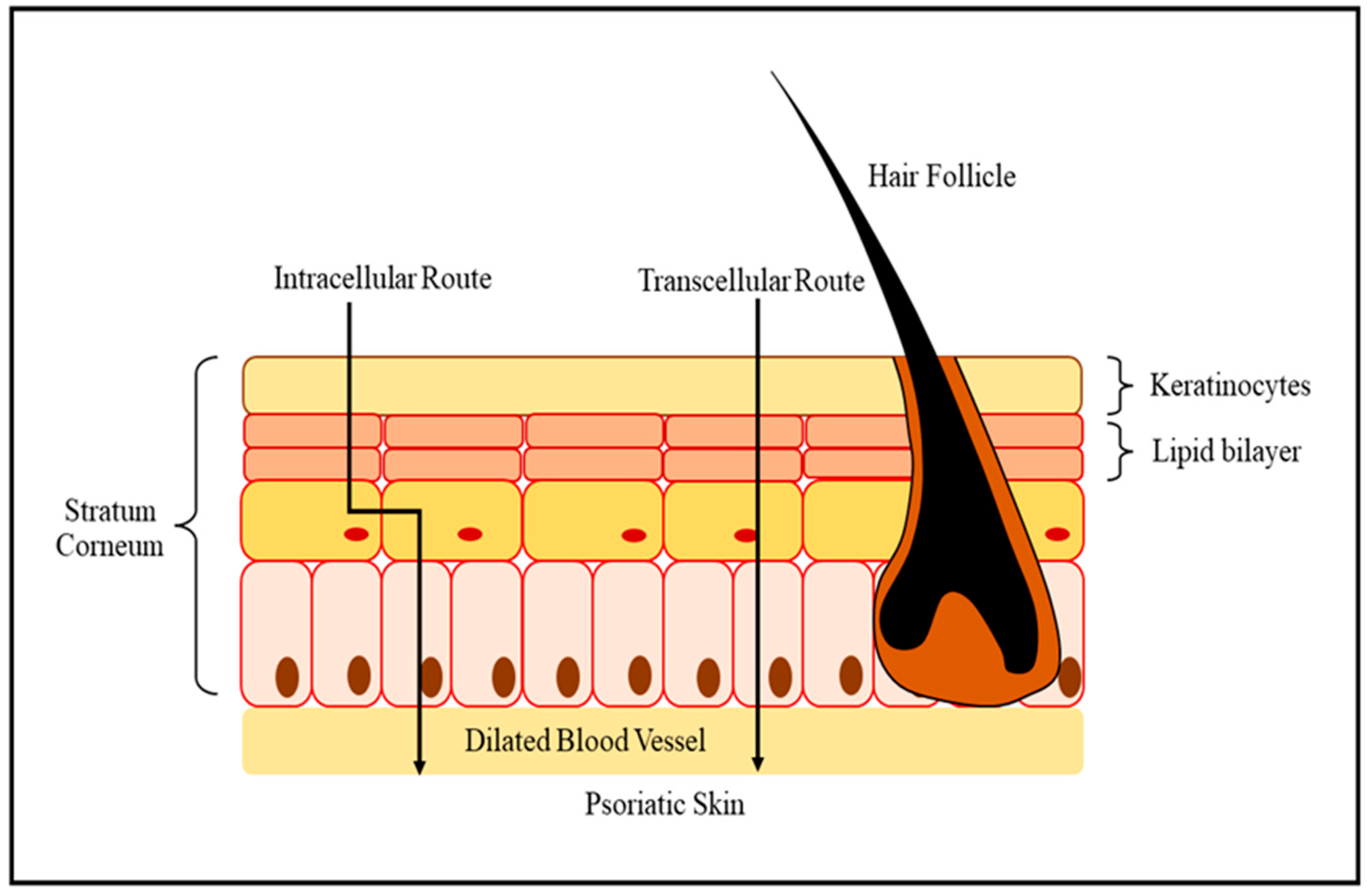 Biomedicines 11 01589 g002 Biomedicines 11 01589 g002
