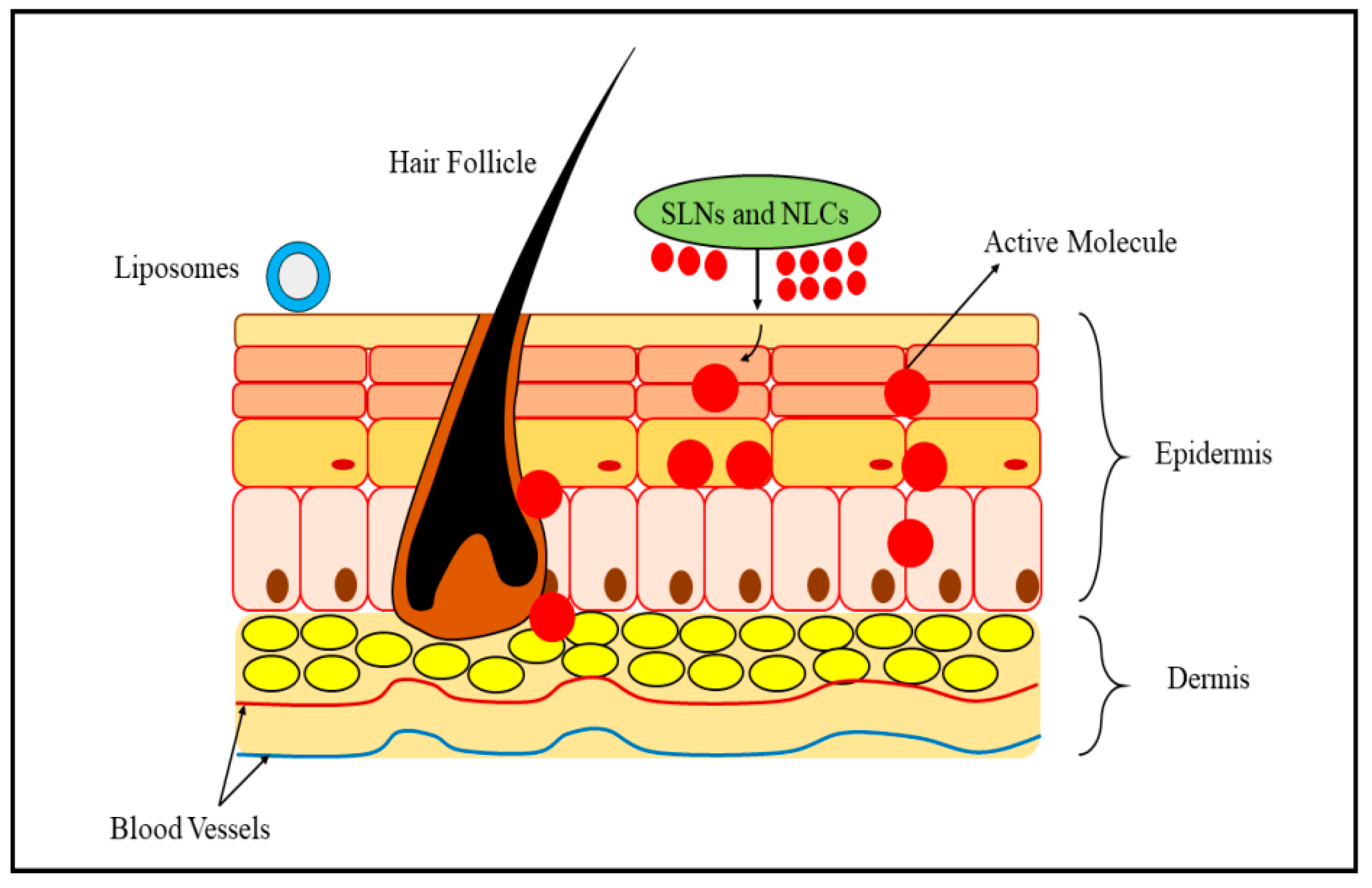 Biomedicines 11 01589 g003 Biomedicines 11 01589 g003