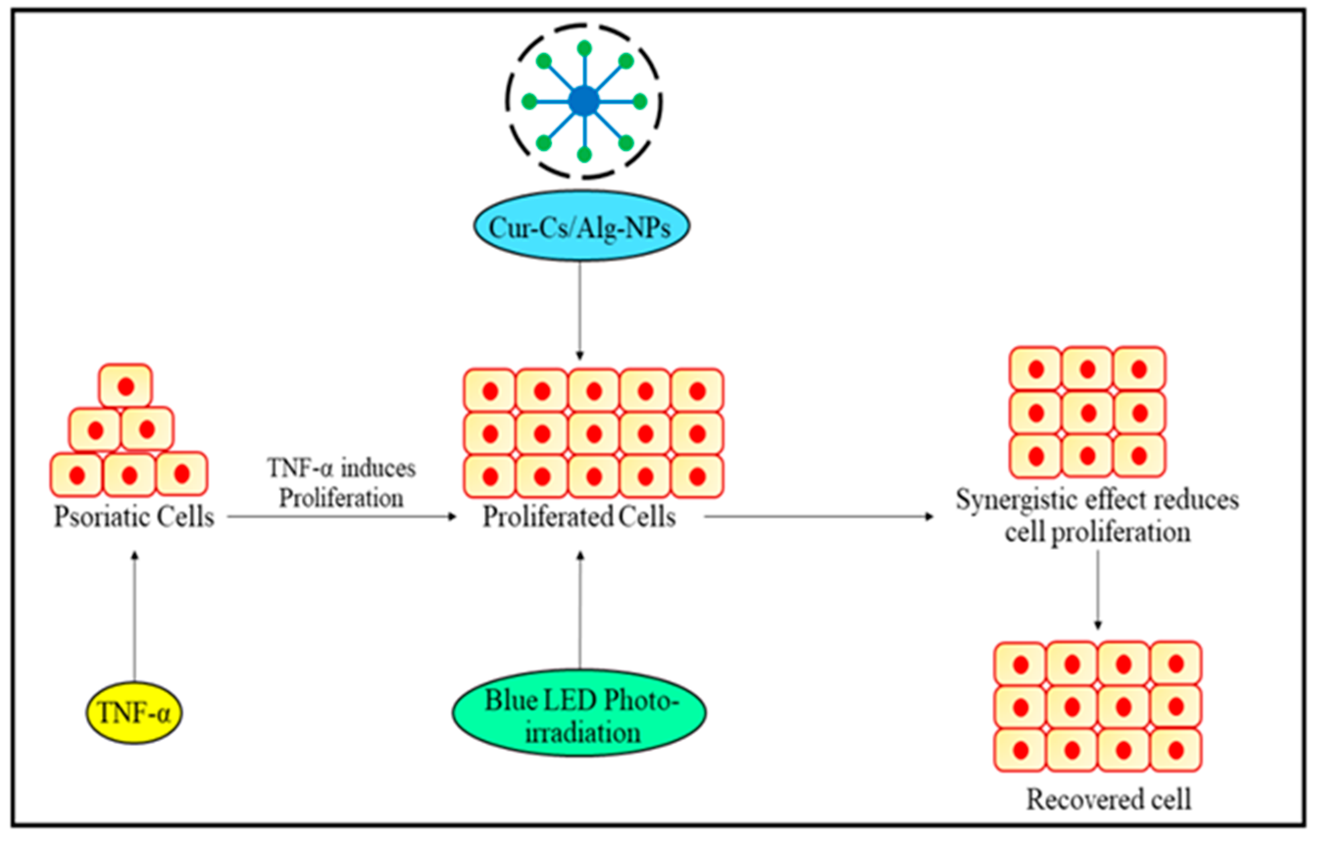 Biomedicines 11 01589 g004 Biomedicines 11 01589 g004