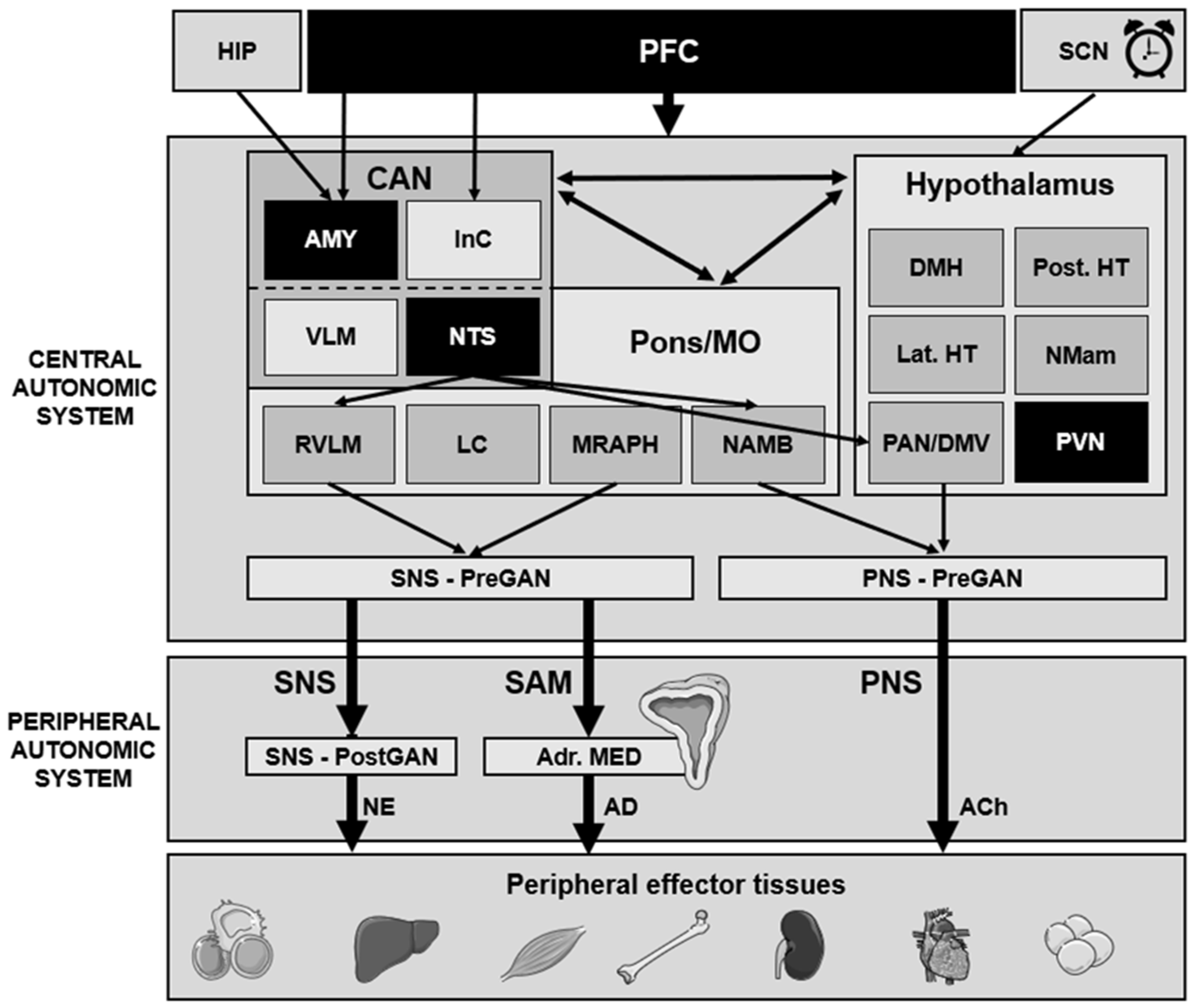 Biomedicines 11 01591 g001 Biomedicines 11 01591 g001