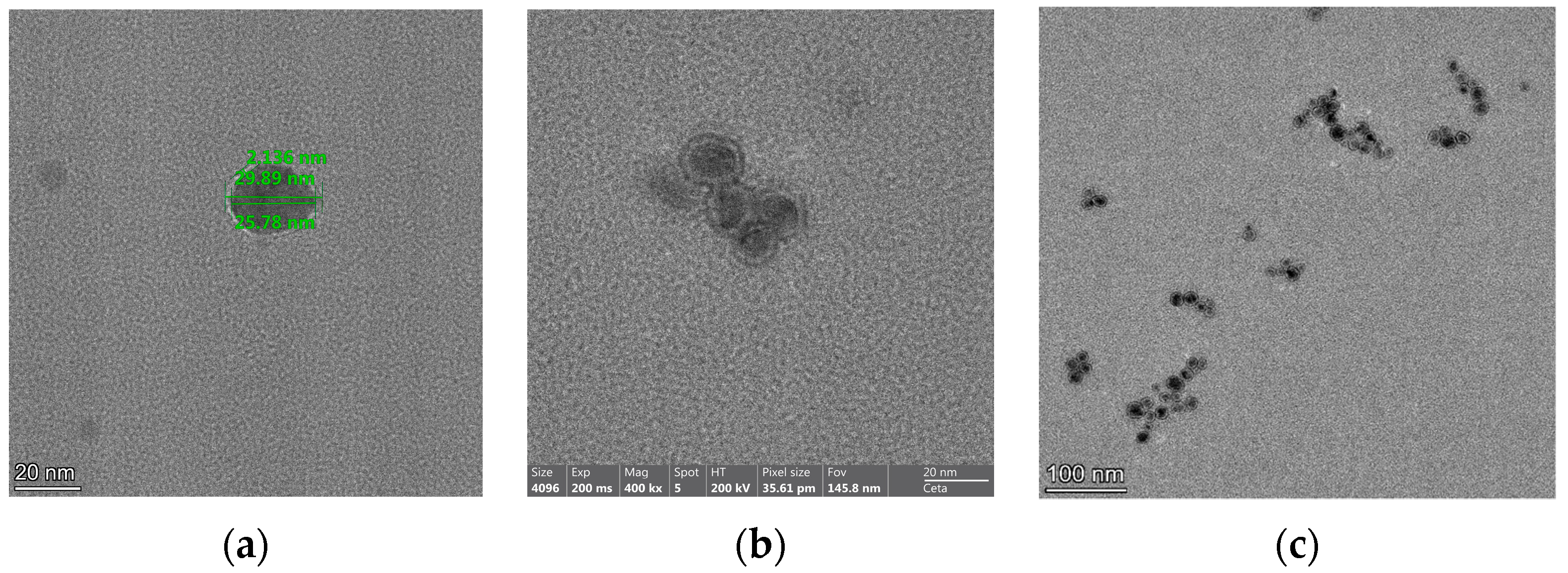 Biomedicines 11 01593 g005 Biomedicines 11 01593 g005