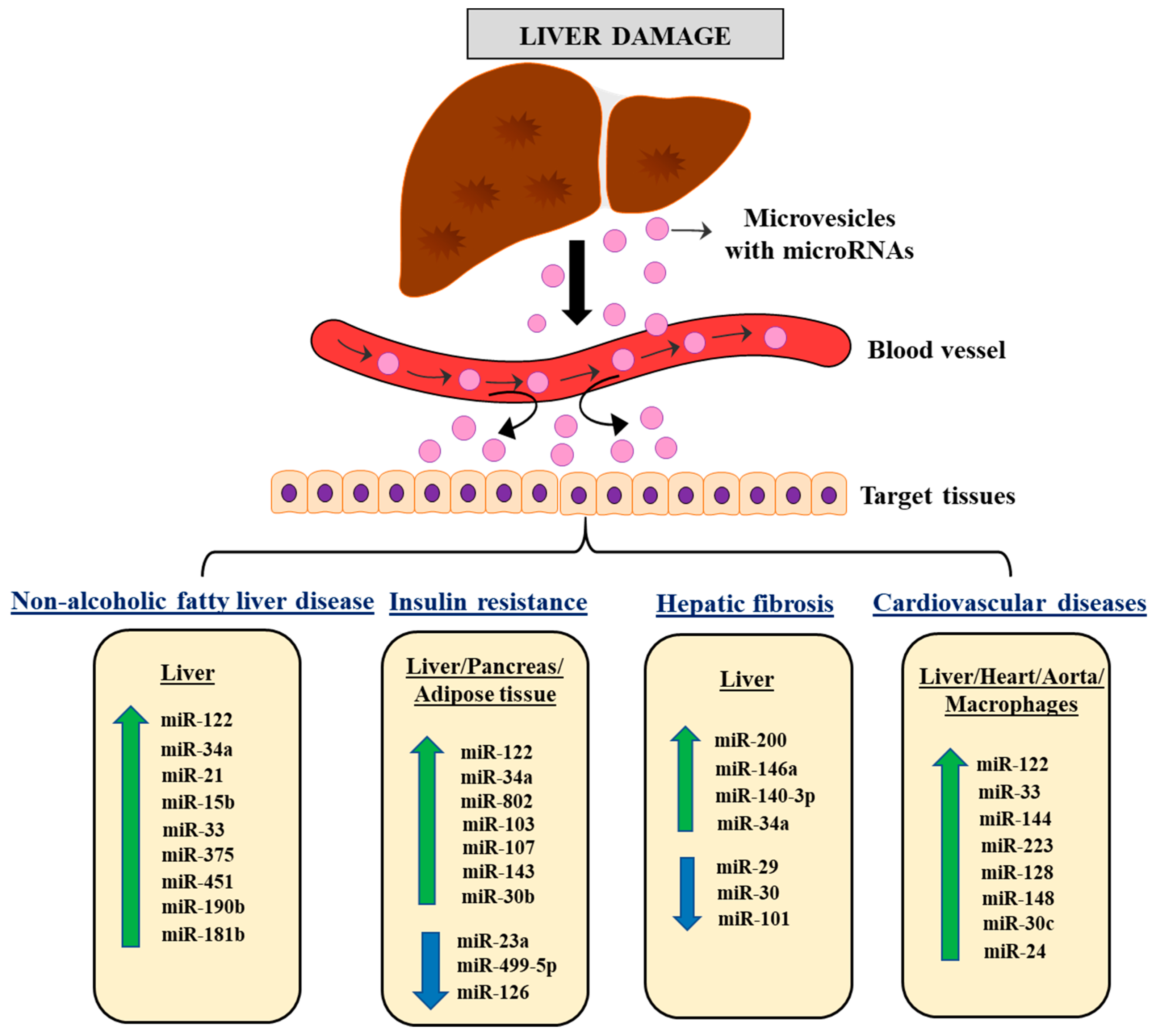 Biomedicines 11 01597 g002