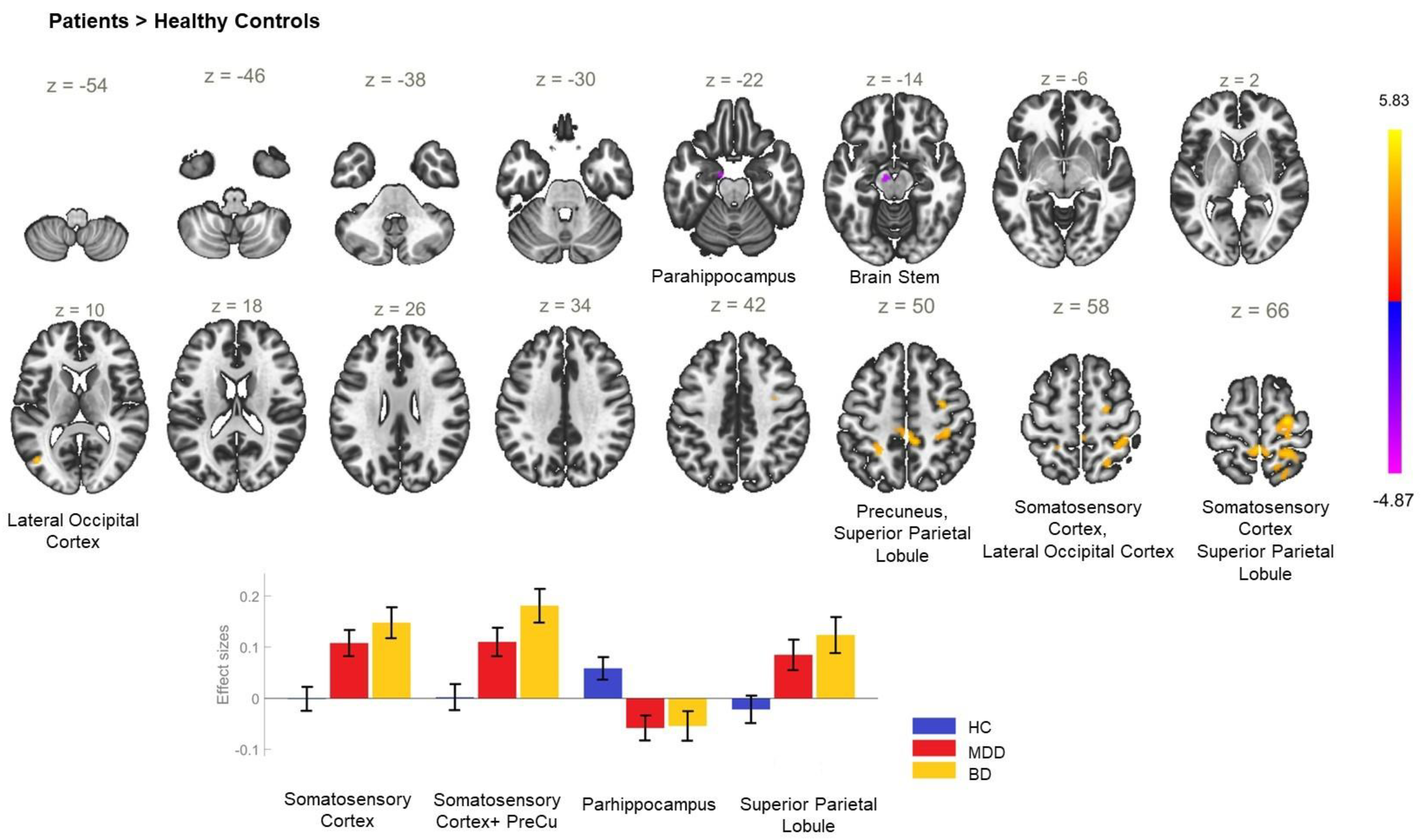 Biomedicines 11 01608 g002