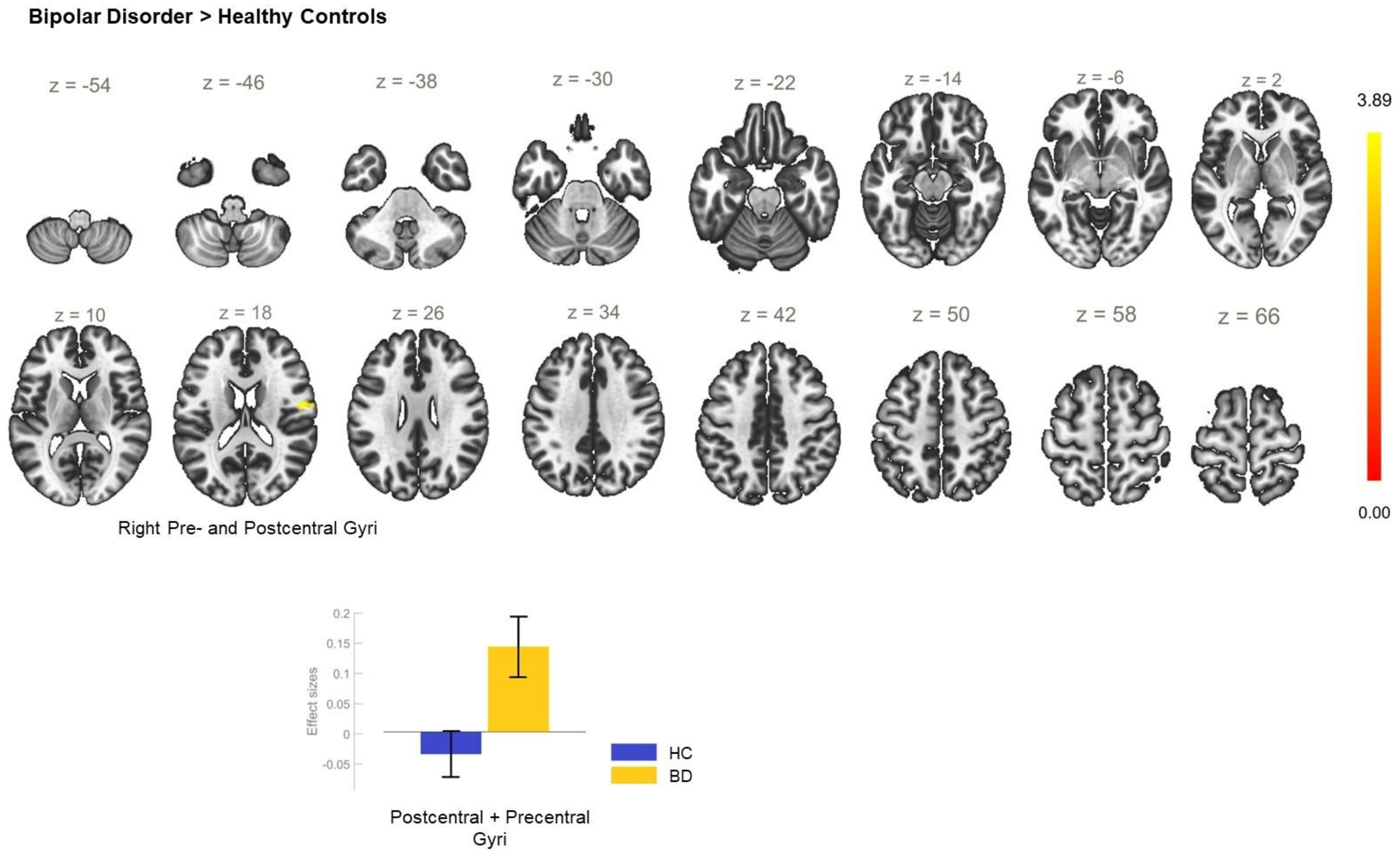 Biomedicines 11 01608 g007
