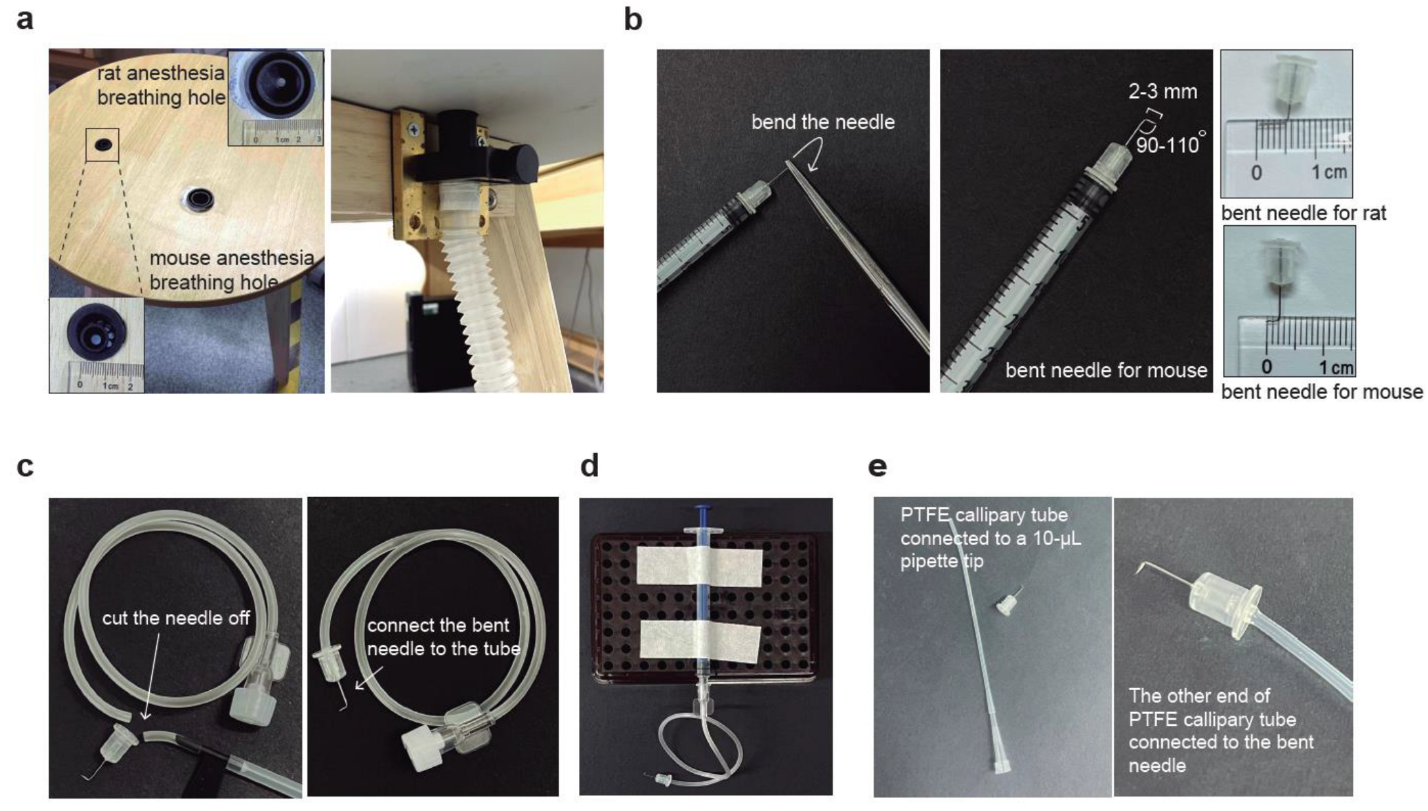Biomedicines 11 01609 g001