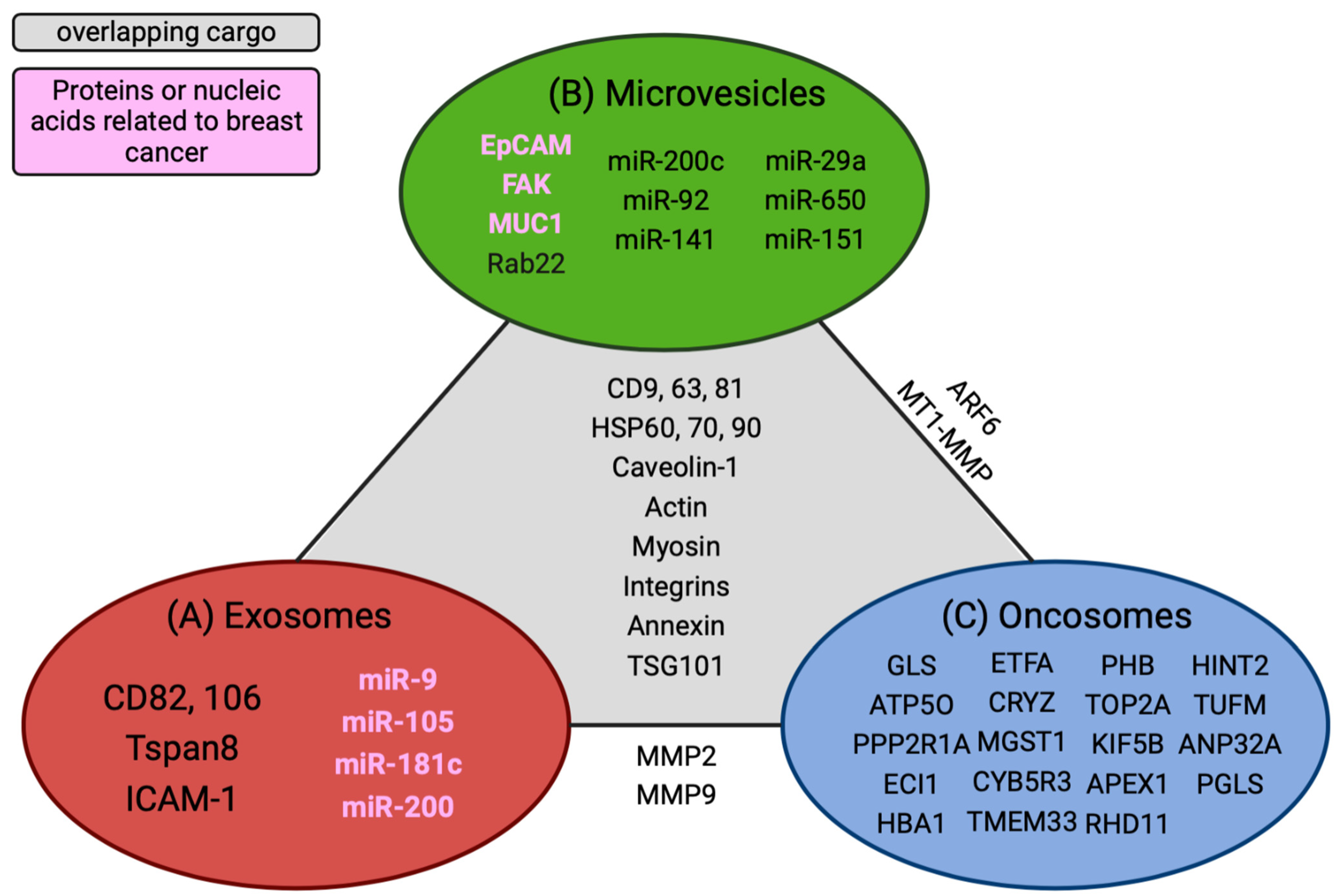 Biomedicines 11 01614 g002 550