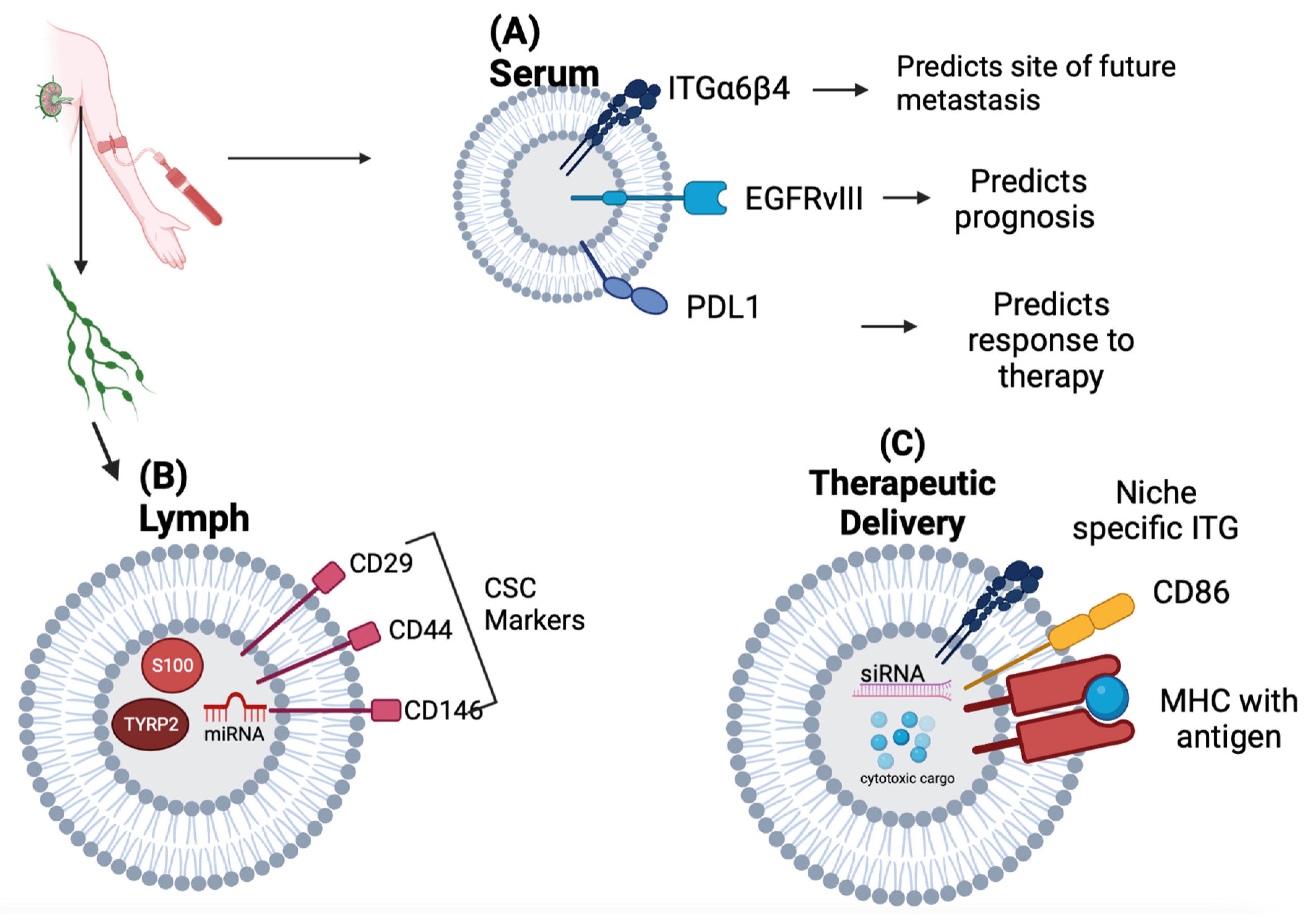 Biomedicines 11 01614 g004 550