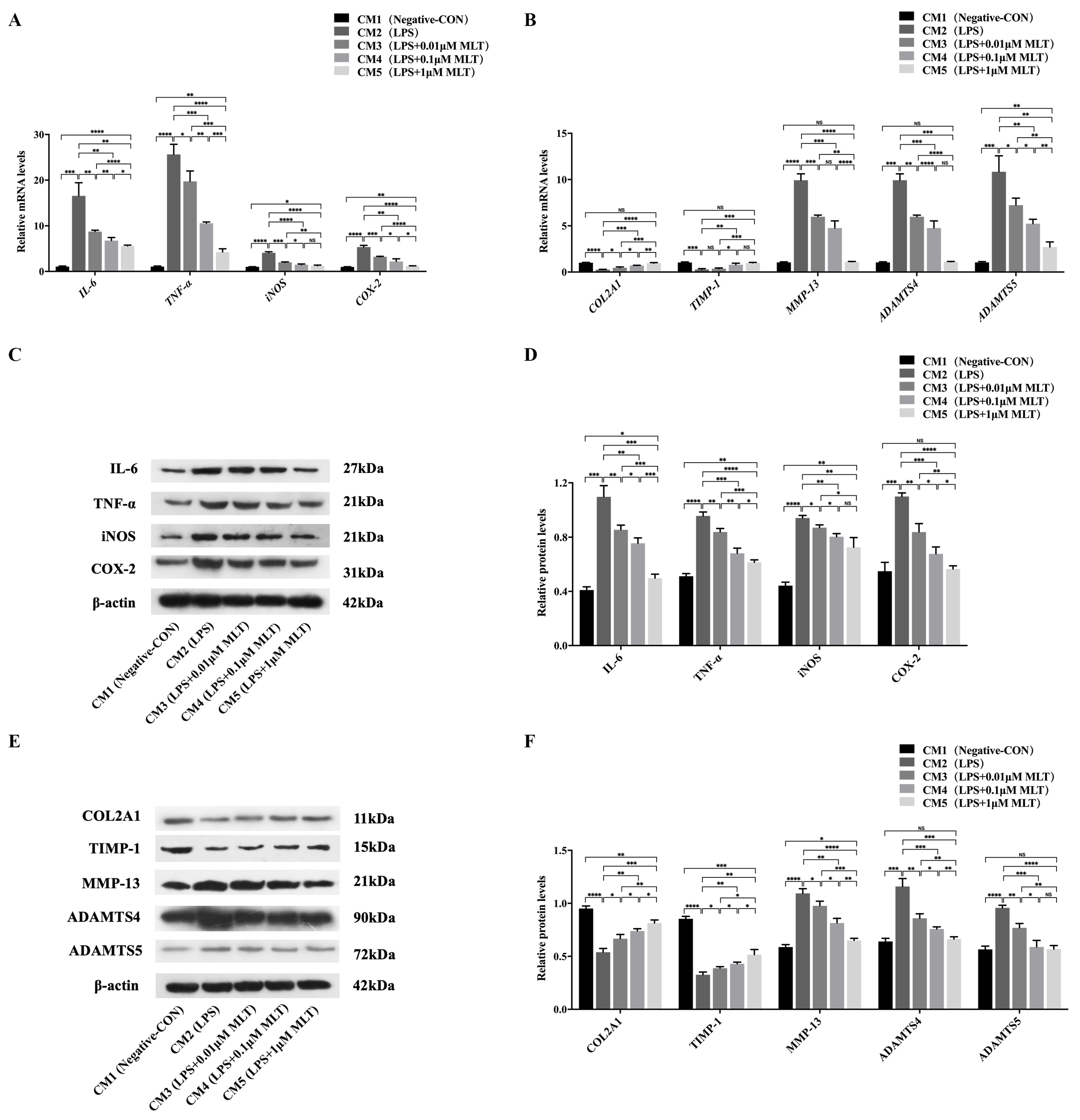 Biomedicines 11 01615 g004 Biomedicines 11 01615 g004