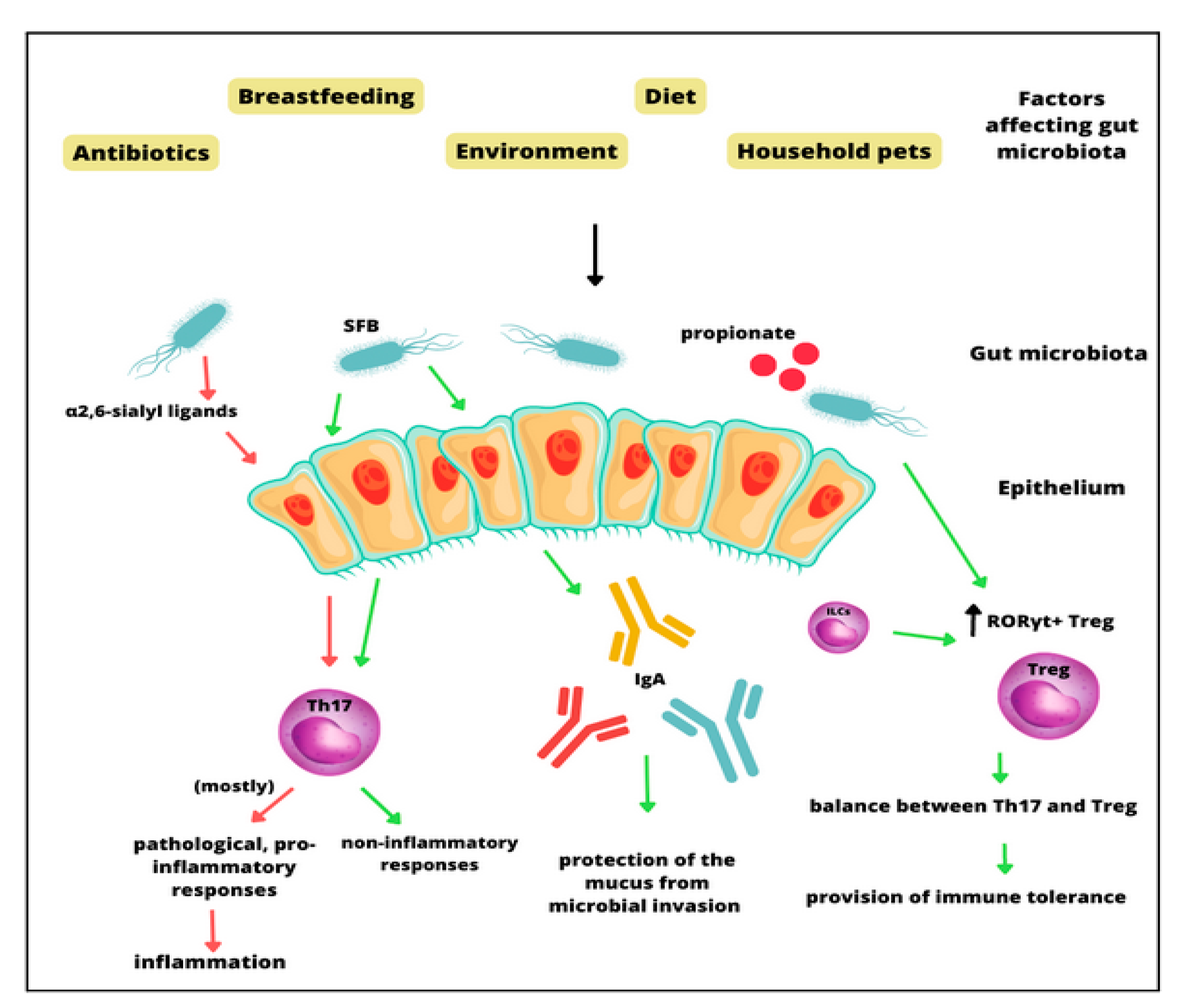 Biomedicines 11 01618 g001 Biomedicines 11 01618 g001