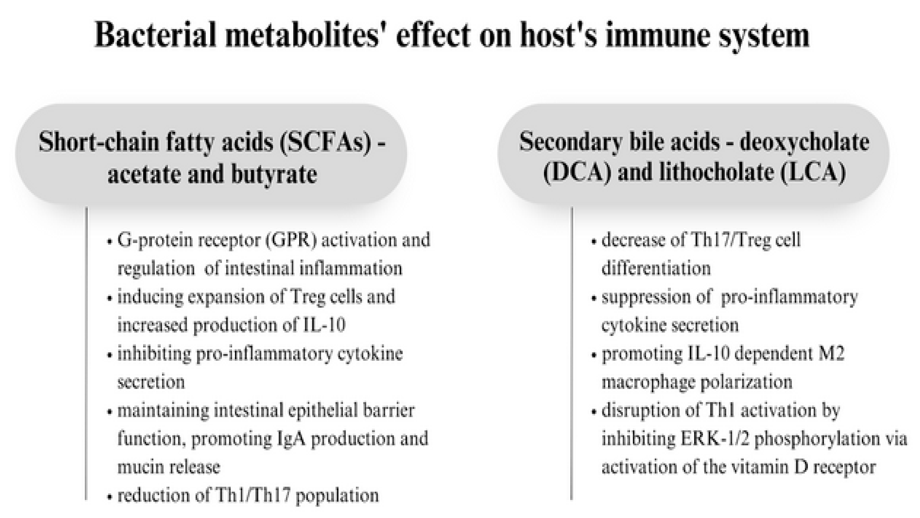 Biomedicines 11 01618 g002 Biomedicines 11 01618 g002