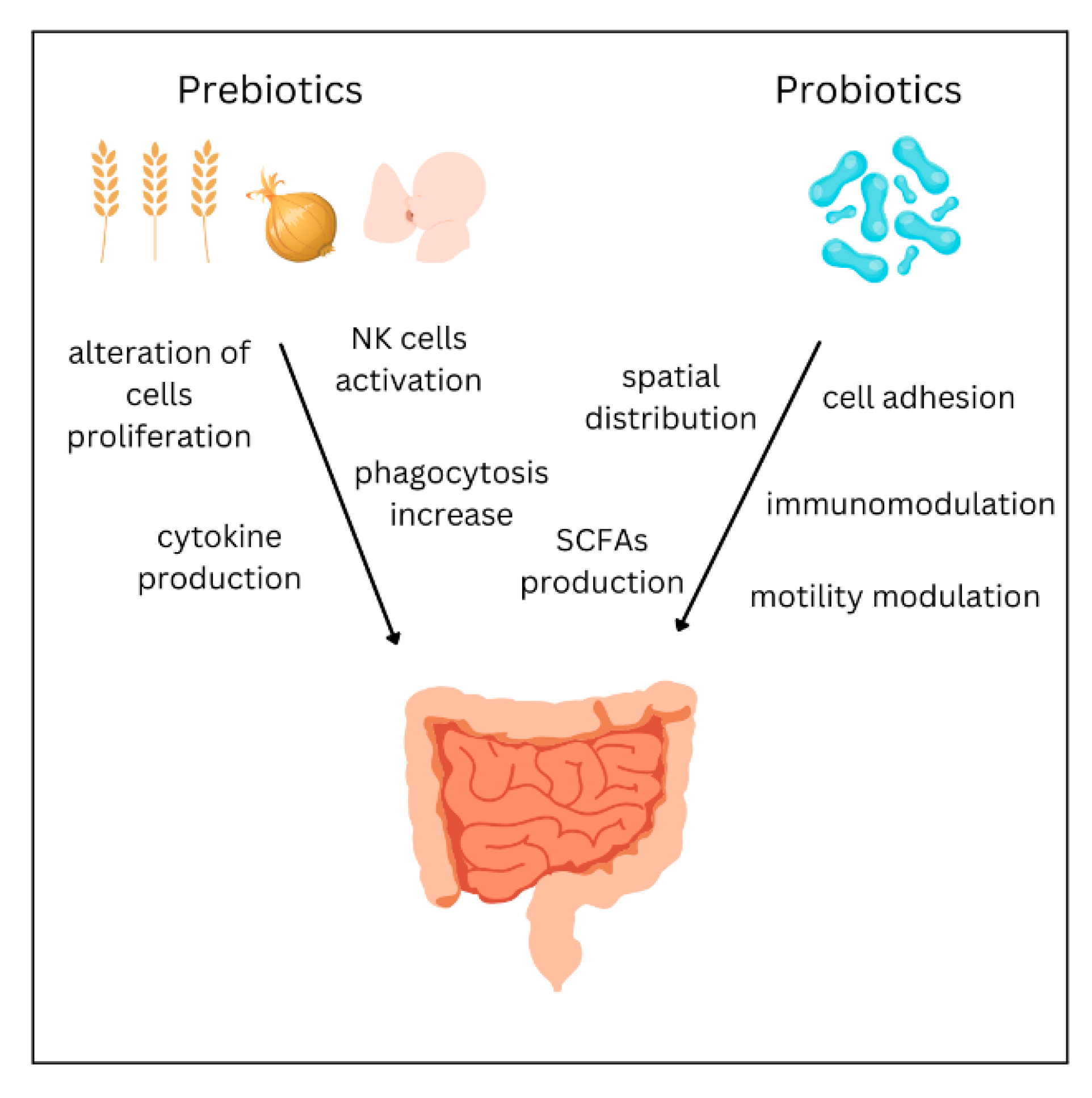 Biomedicines 11 01618 g004 Biomedicines 11 01618 g004