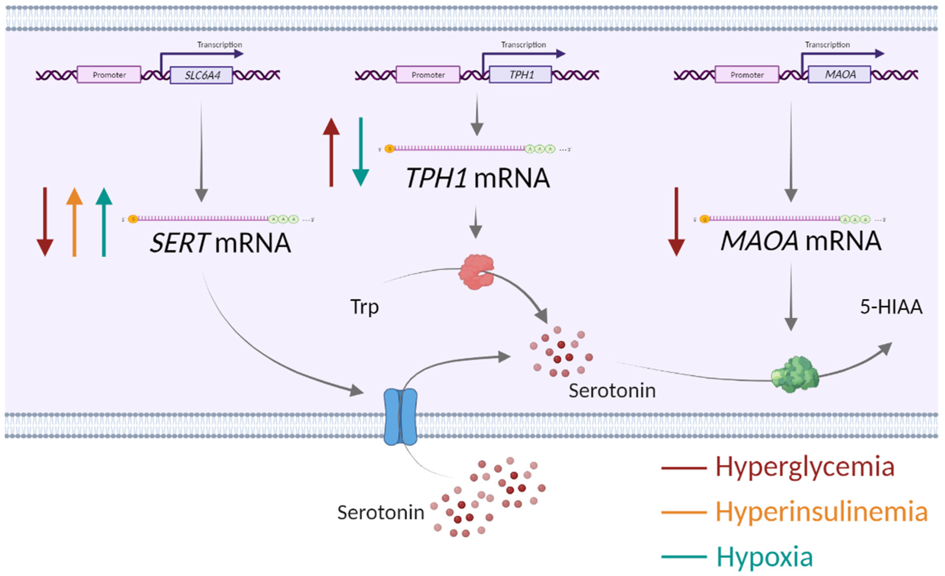 Biomedicines 11 01619 g003