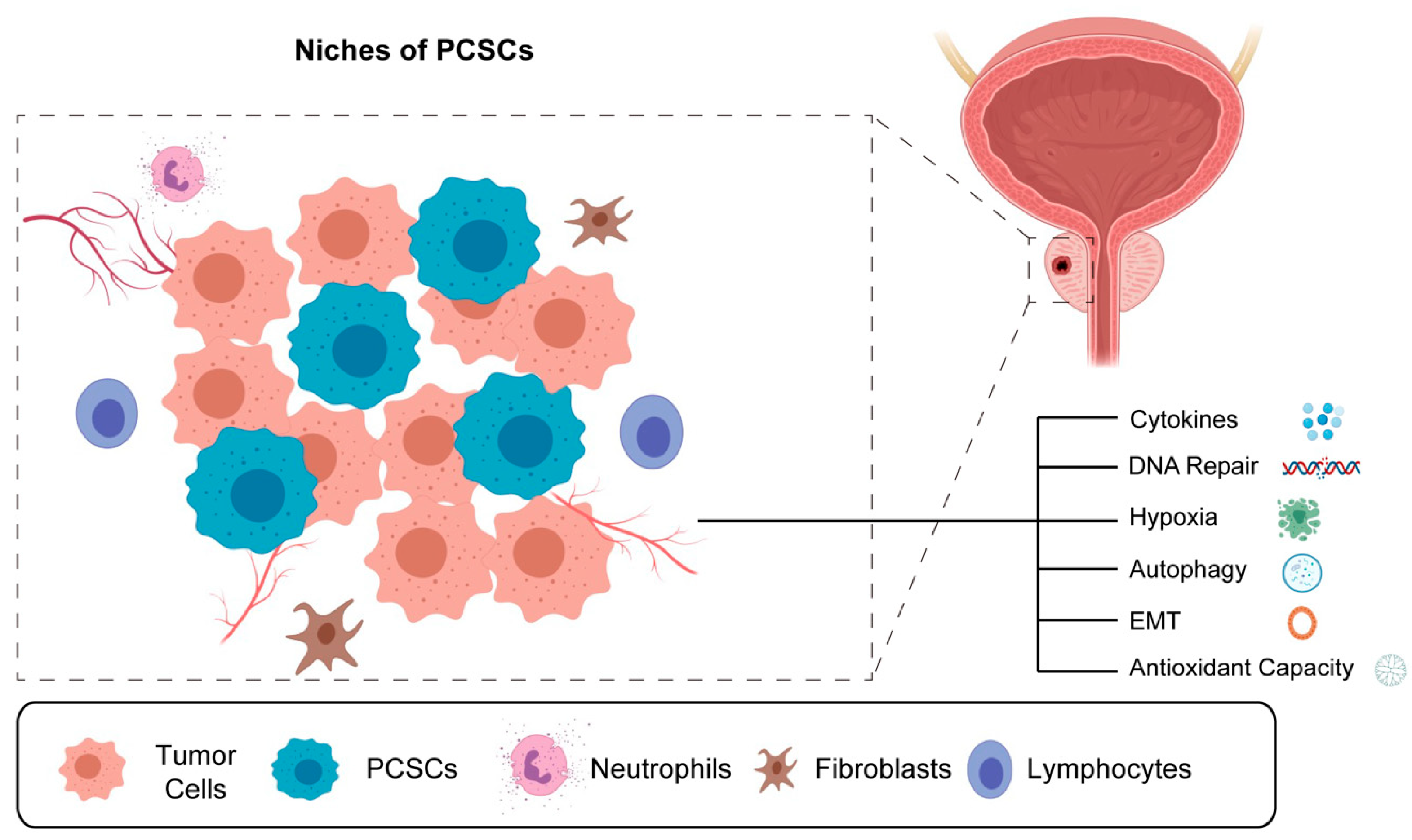 Biomedicines 11 01628 g004 Biomedicines 11 01628 g004