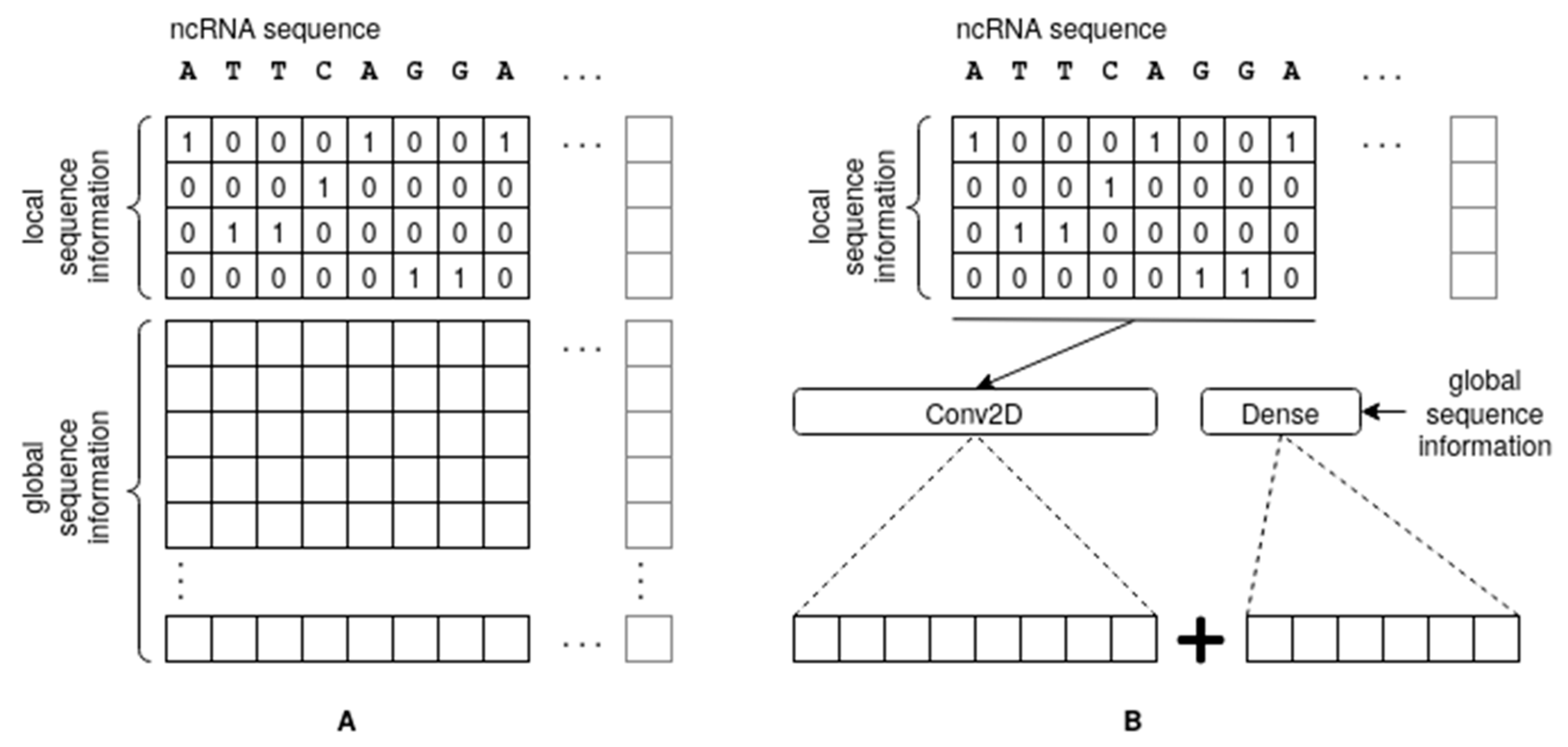 Biomedicines 11 01631 g002