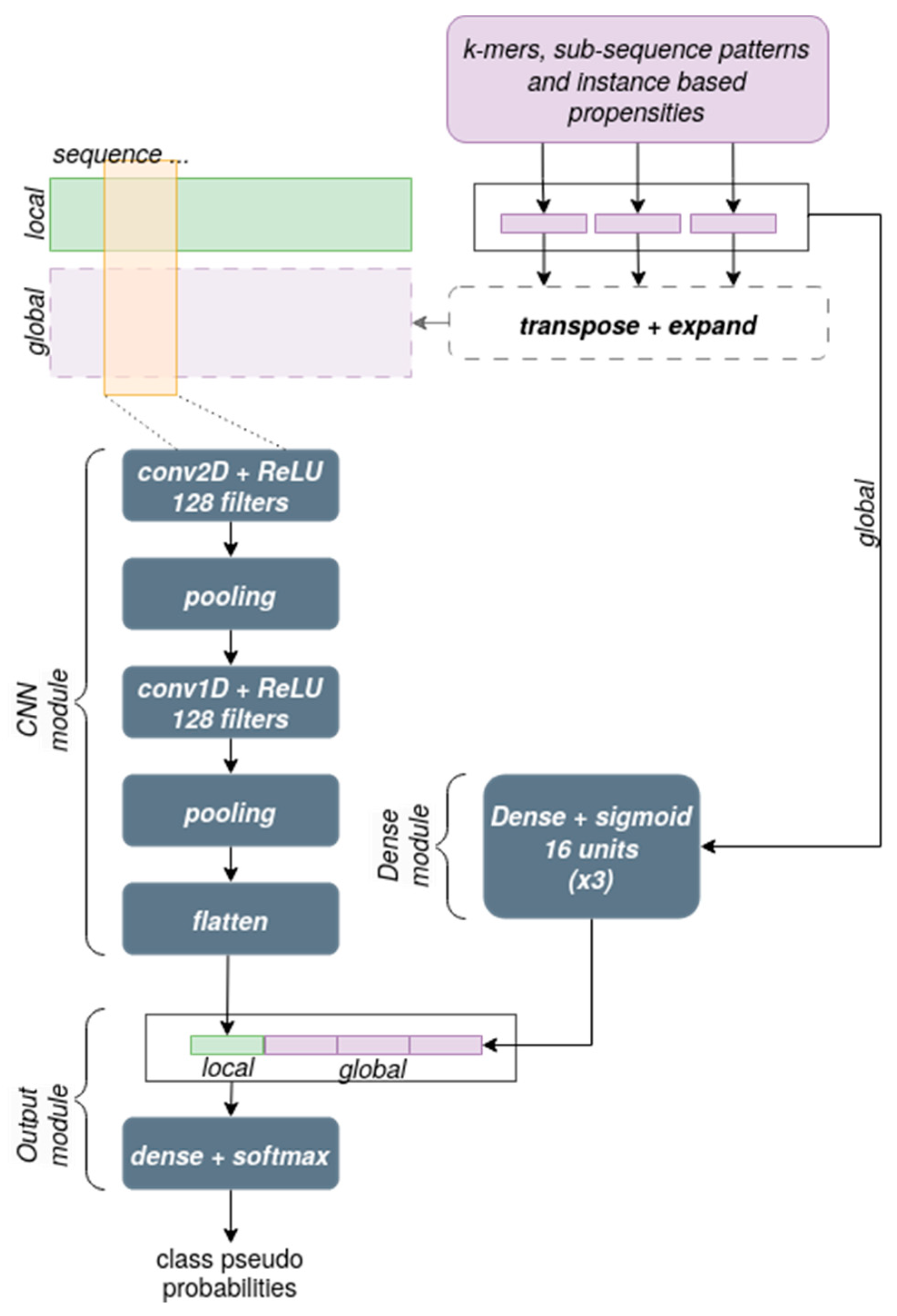 Biomedicines 11 01631 g004