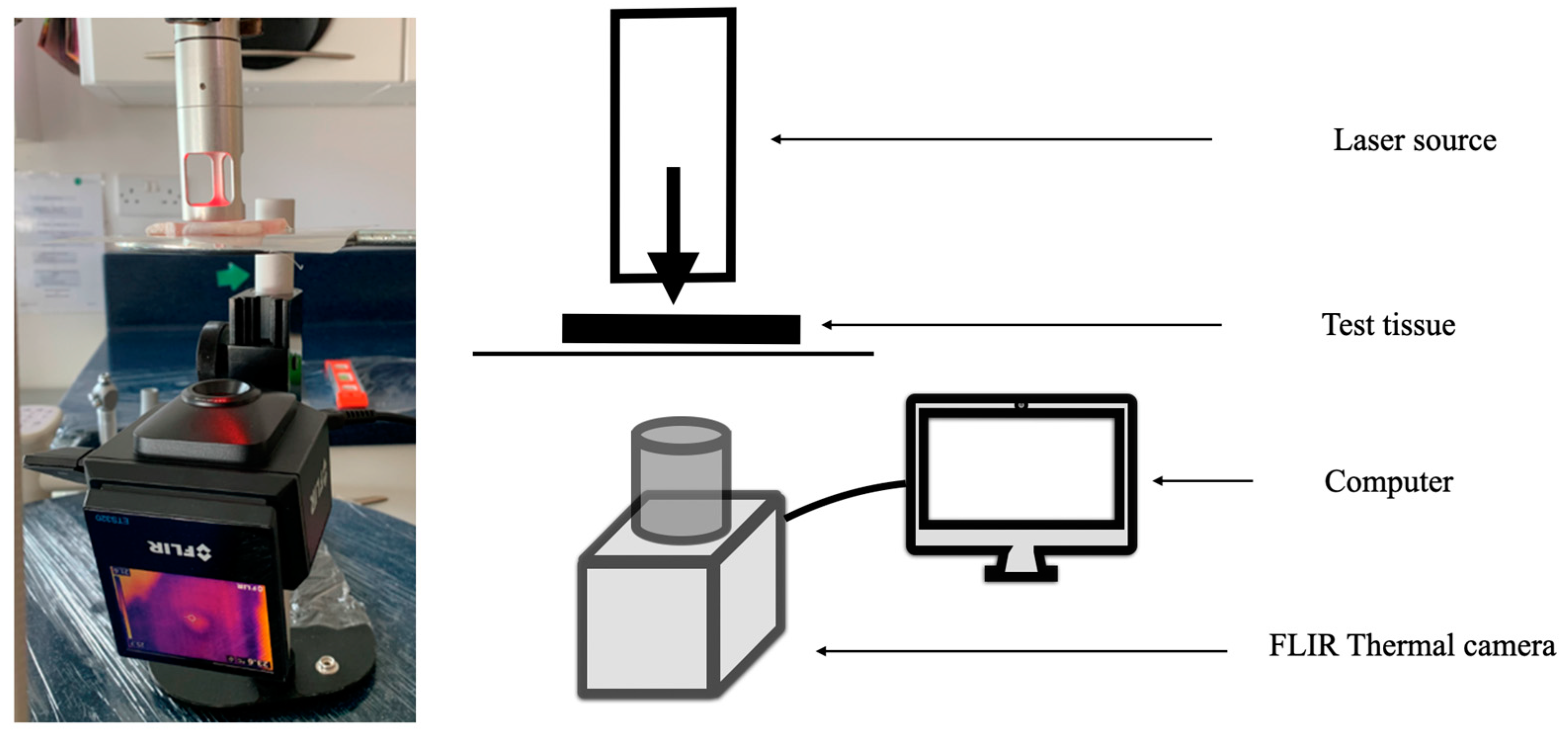 Biomedicines 11 01634 g001 Biomedicines 11 01634 g001