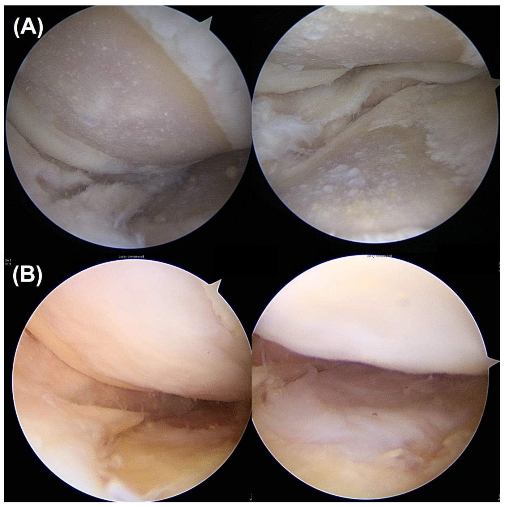 Biomedicines 11 01639 g001