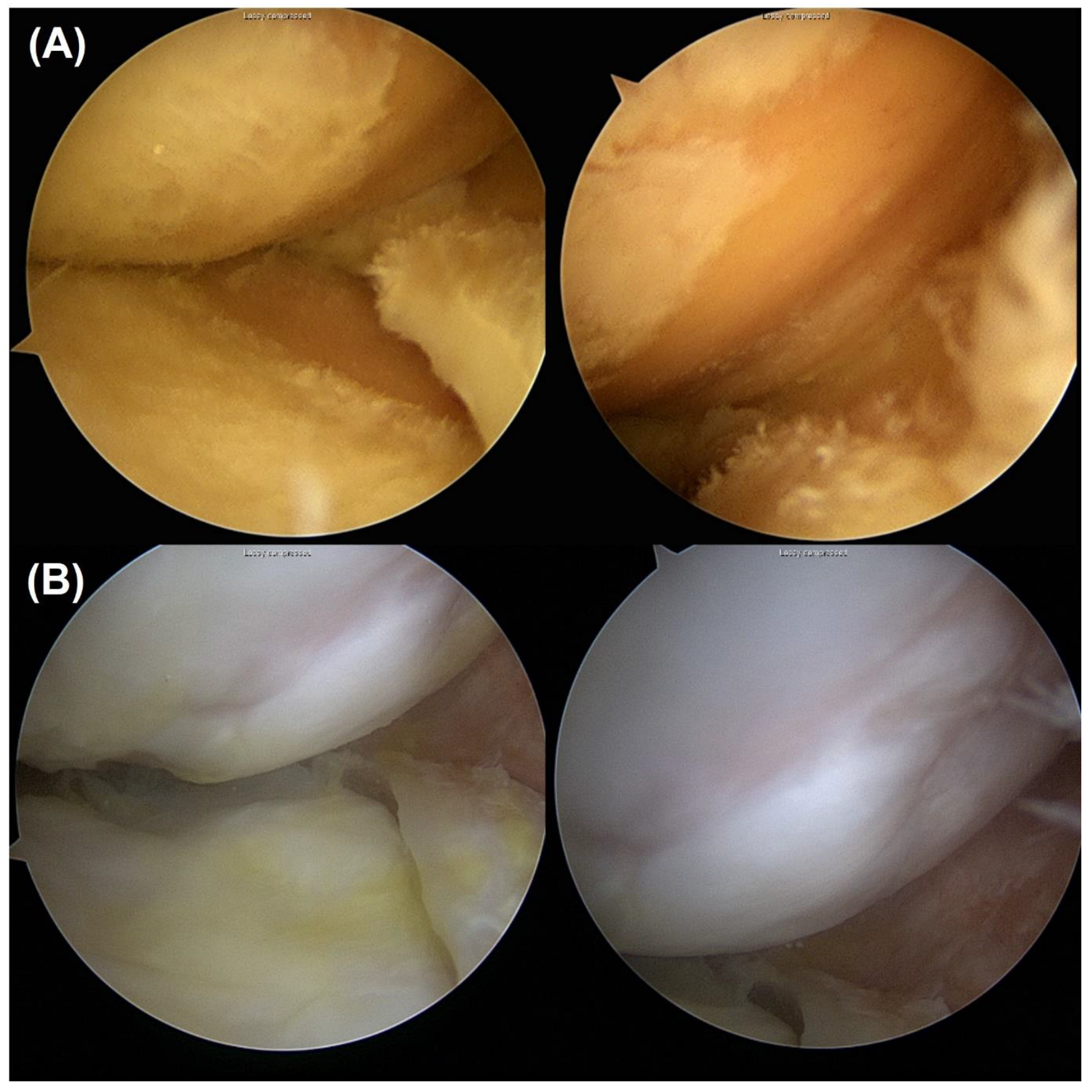 Biomedicines 11 01639 g002