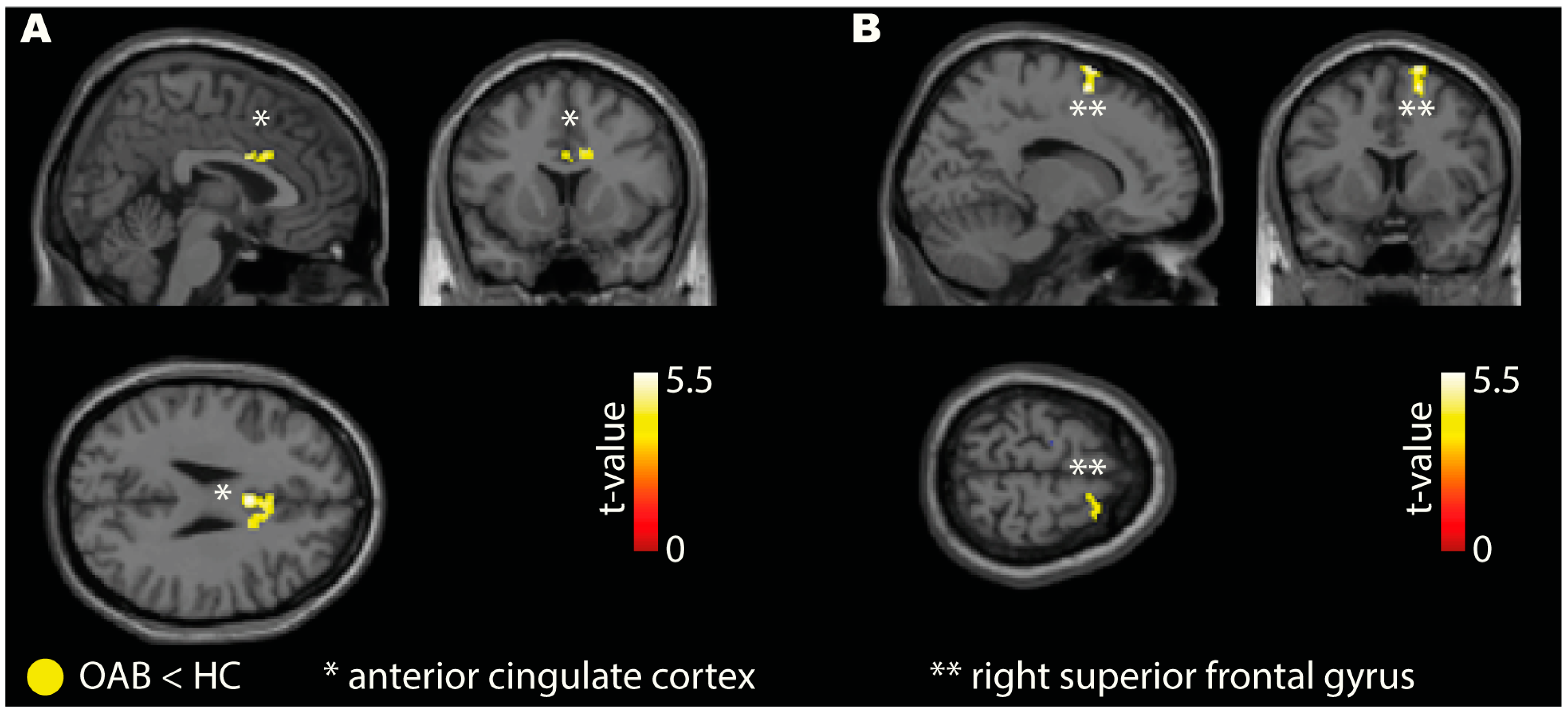 Biomedicines 11 01640 g003 Biomedicines 11 01640 g003