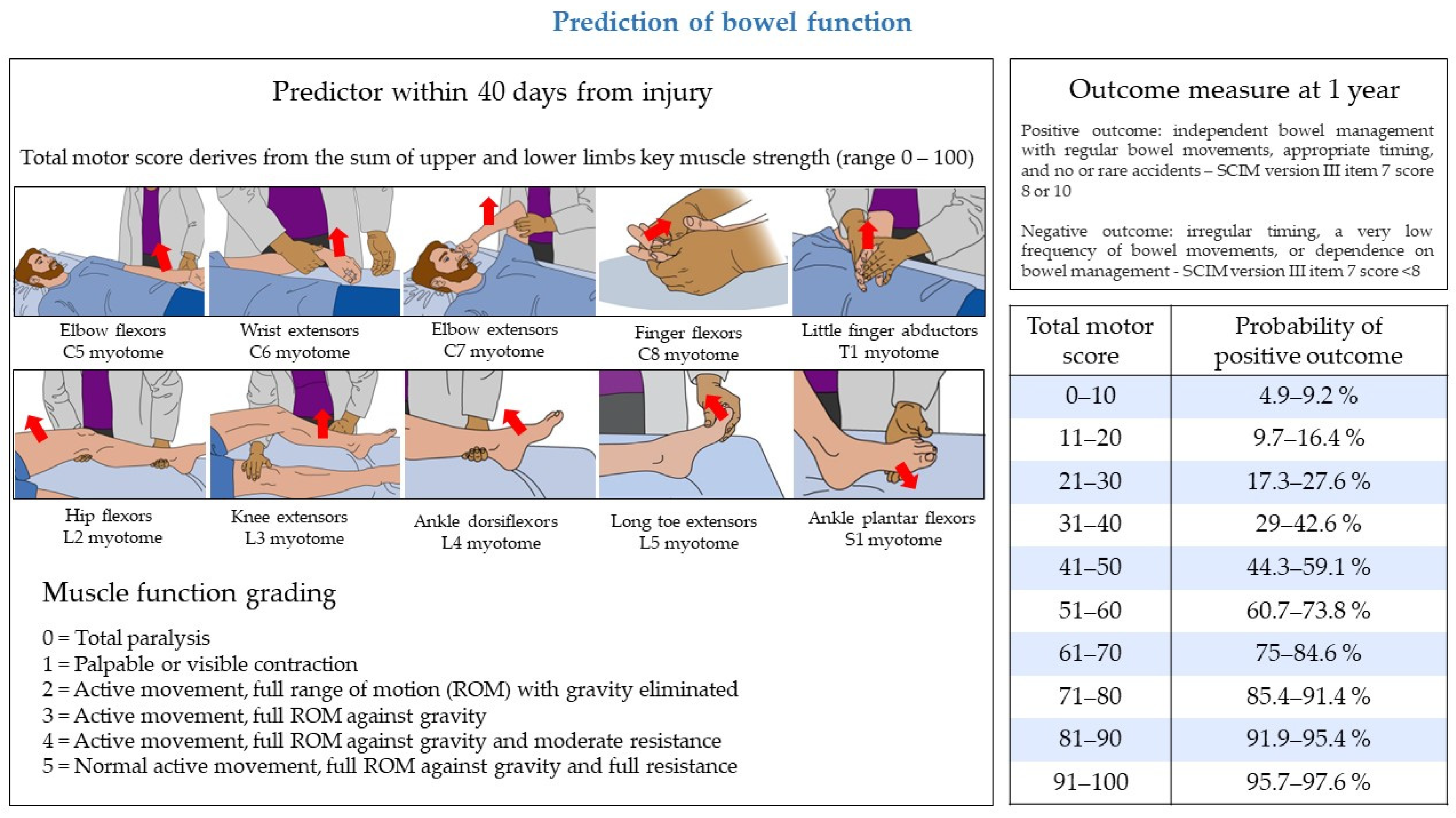 Biomedicines 11 01644 g002 Biomedicines 11 01644 g002