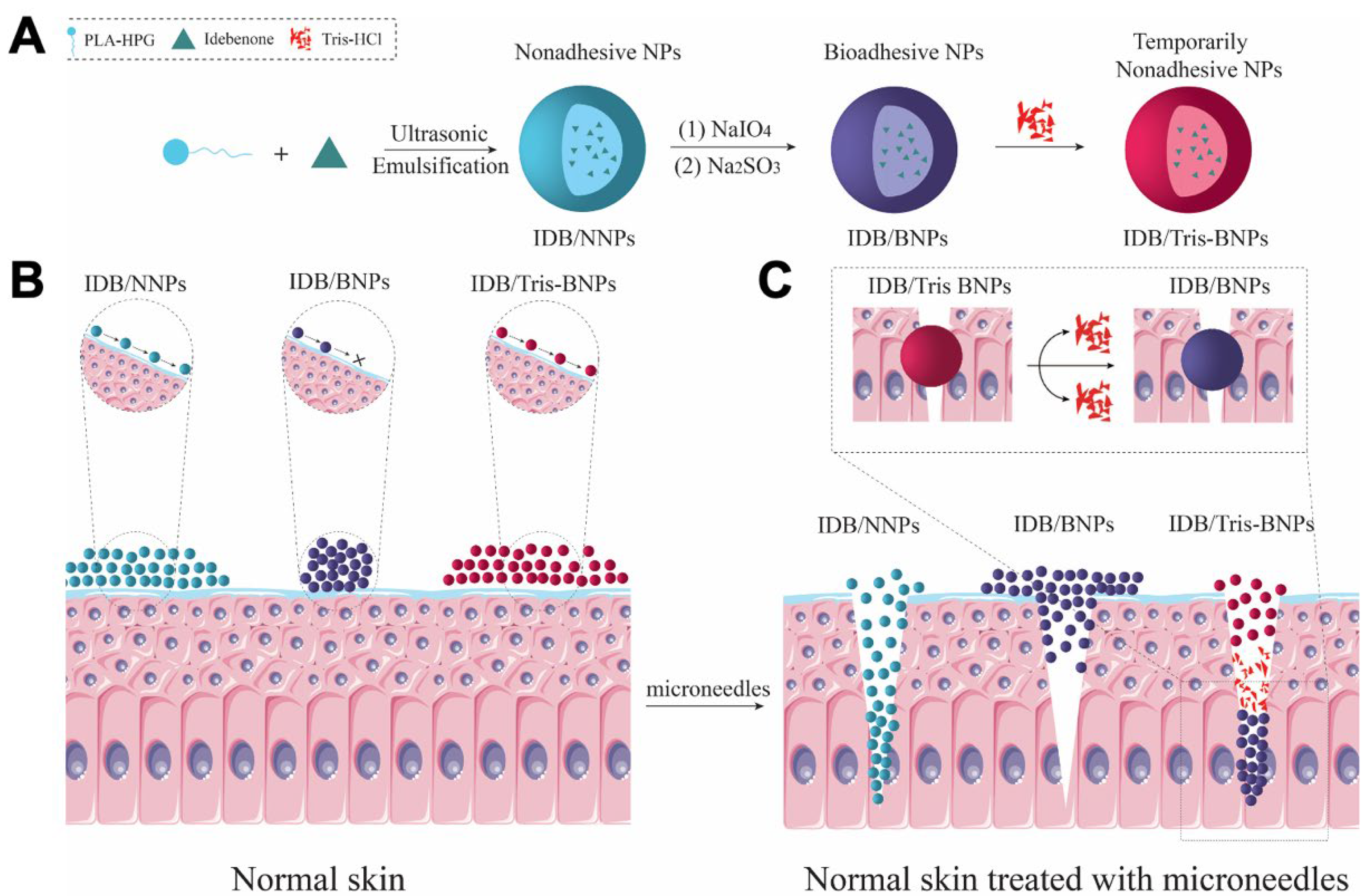 Biomedicines 11 01649 g001 Biomedicines 11 01649 g001
