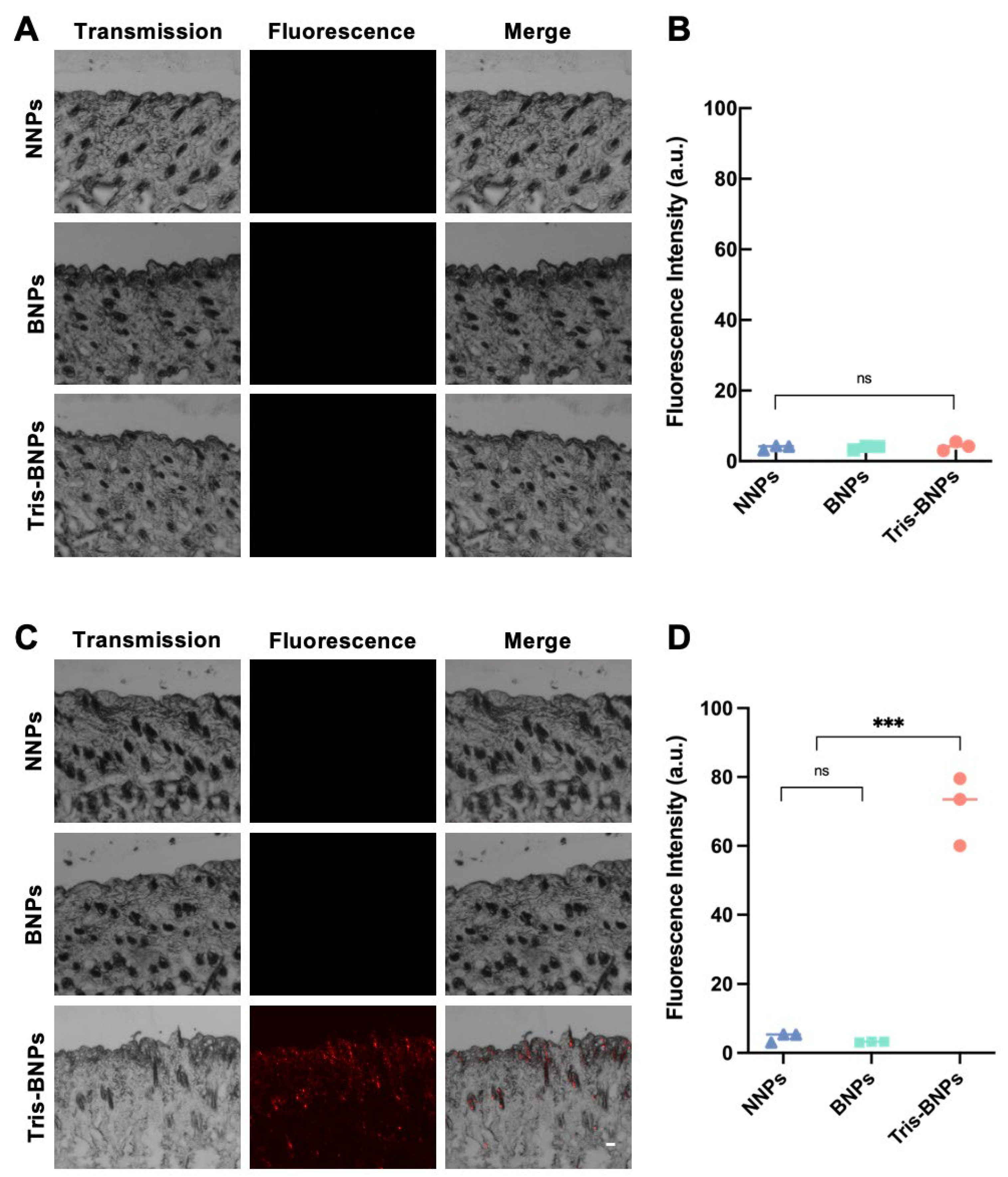 Biomedicines 11 01649 g005 Biomedicines 11 01649 g005