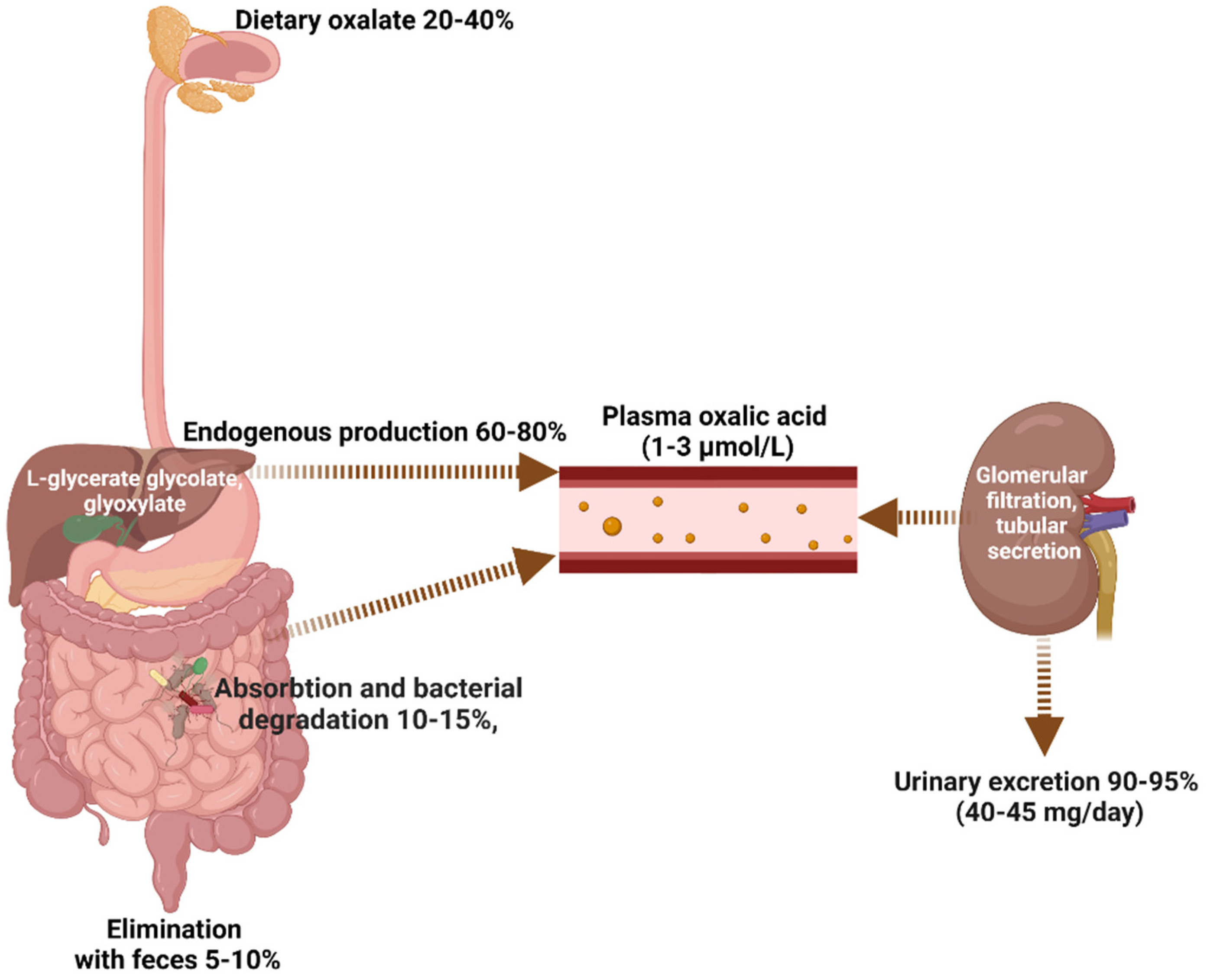 Biomedicines 11 01654 g001 Biomedicines 11 01654 g001