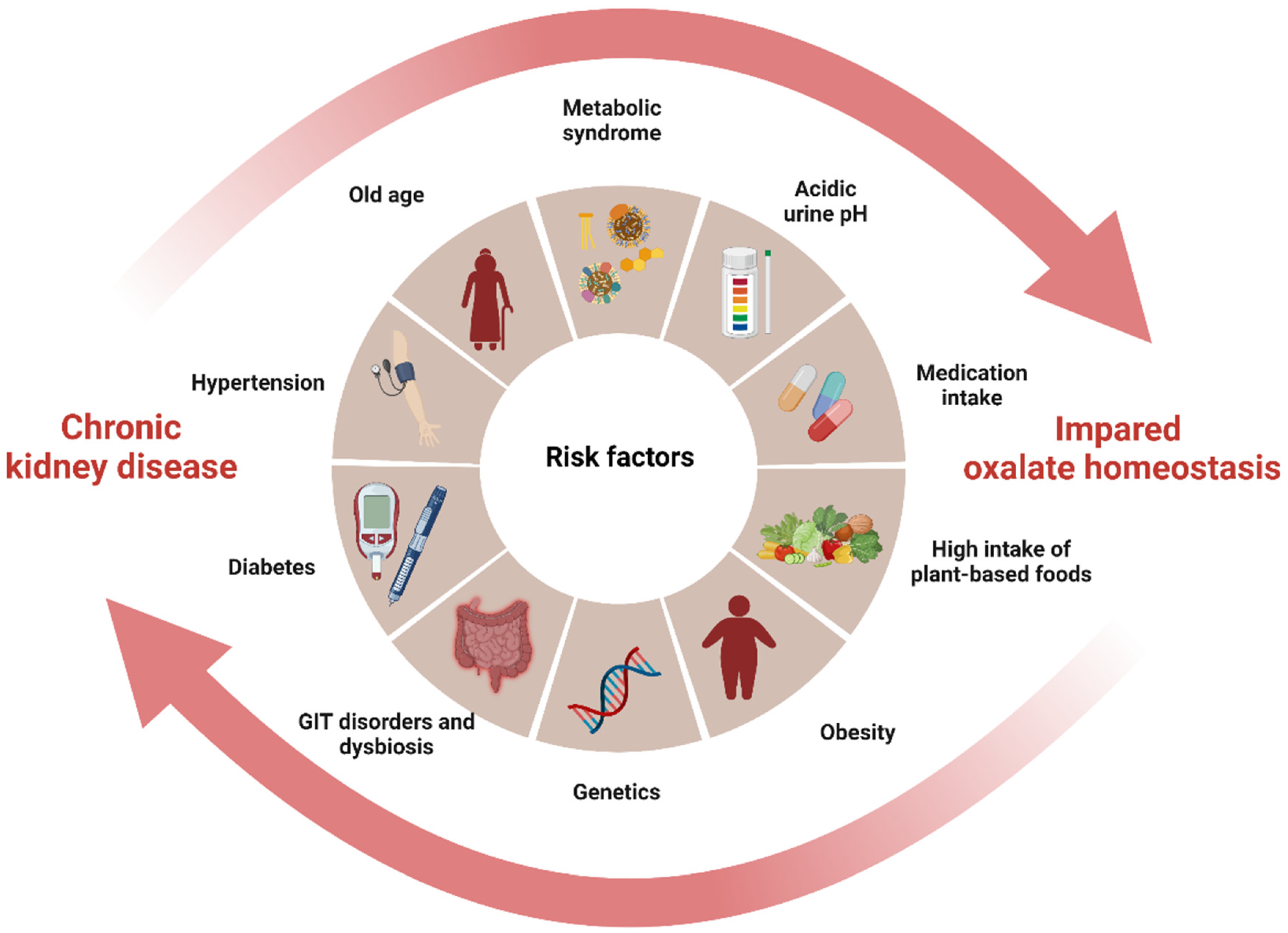 Biomedicines 11 01654 g002 Biomedicines 11 01654 g002